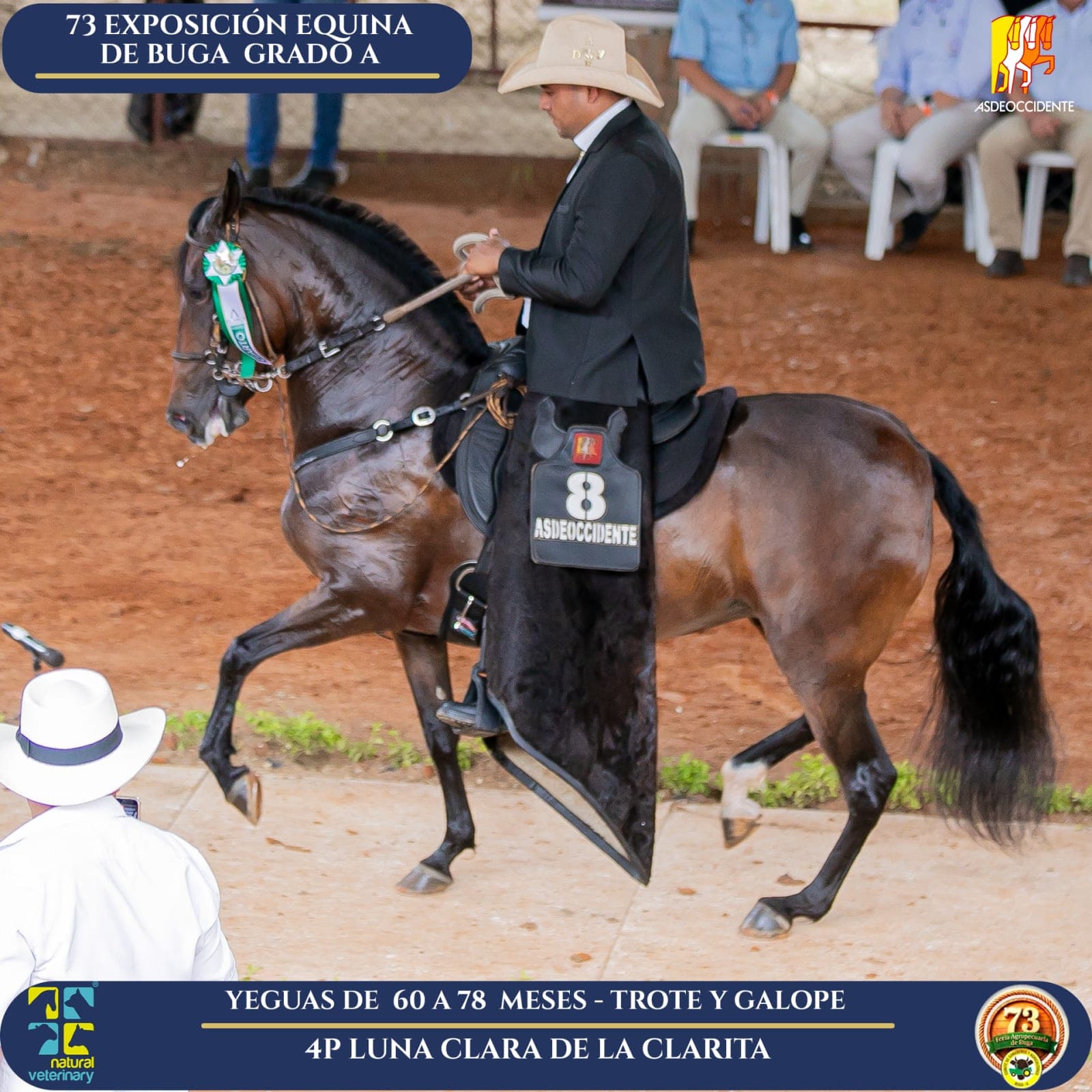 Foto de Luna Clara de la Clarita, Yegua, Criollo Colombiano, Trote y Galope (P1)