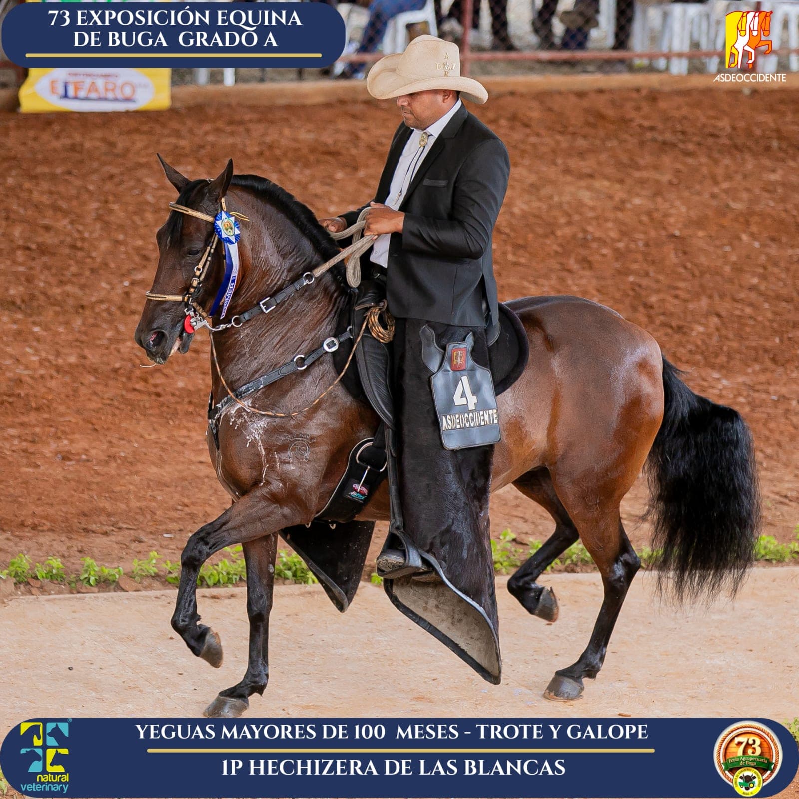 Foto de Hechizera de las Blancas, Yegua, Criollo Colombiano, Trote y Galope (P1)
