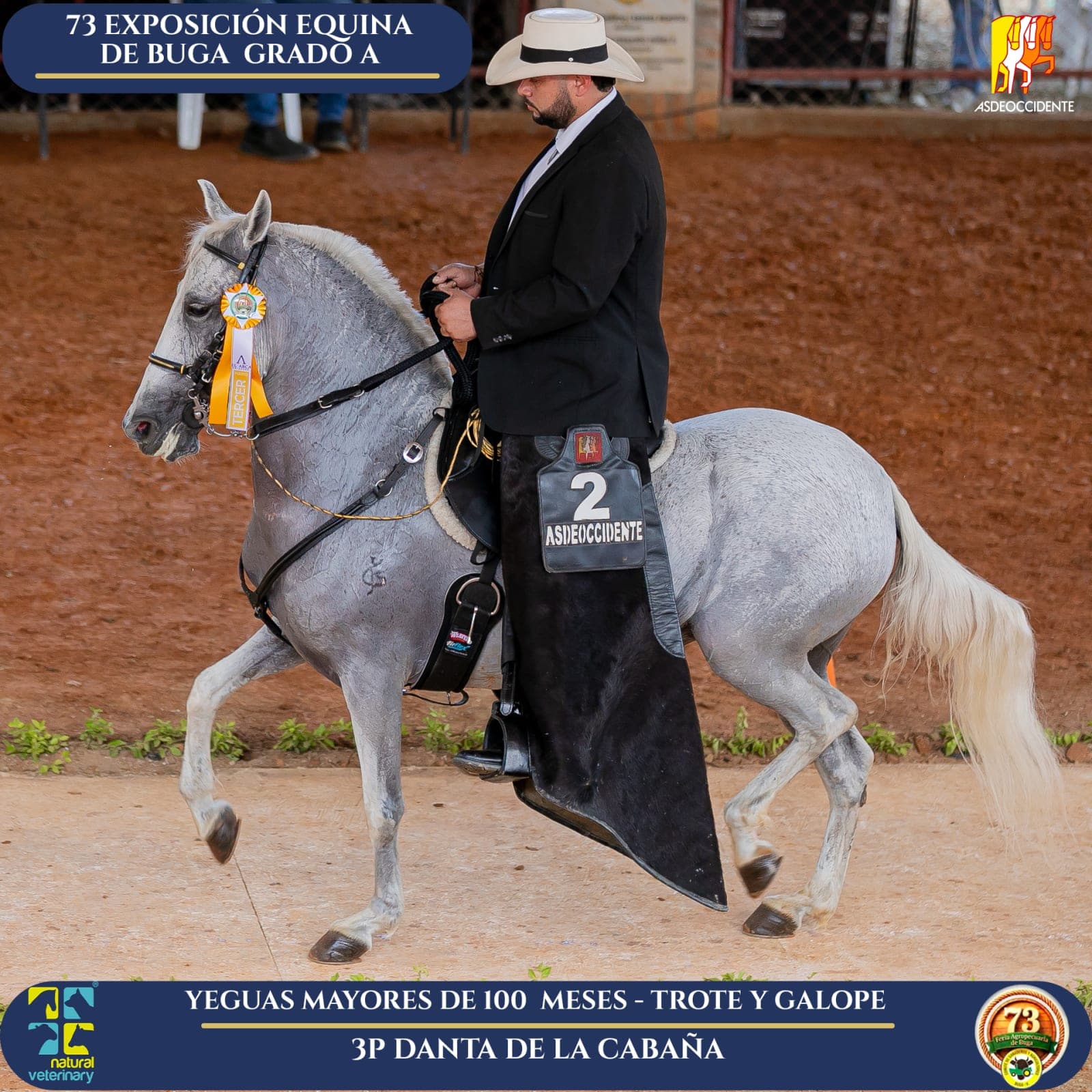 Foto de Danta de la Cabaña, Yegua, Criollo Colombiano, Trote y Galope (P1)