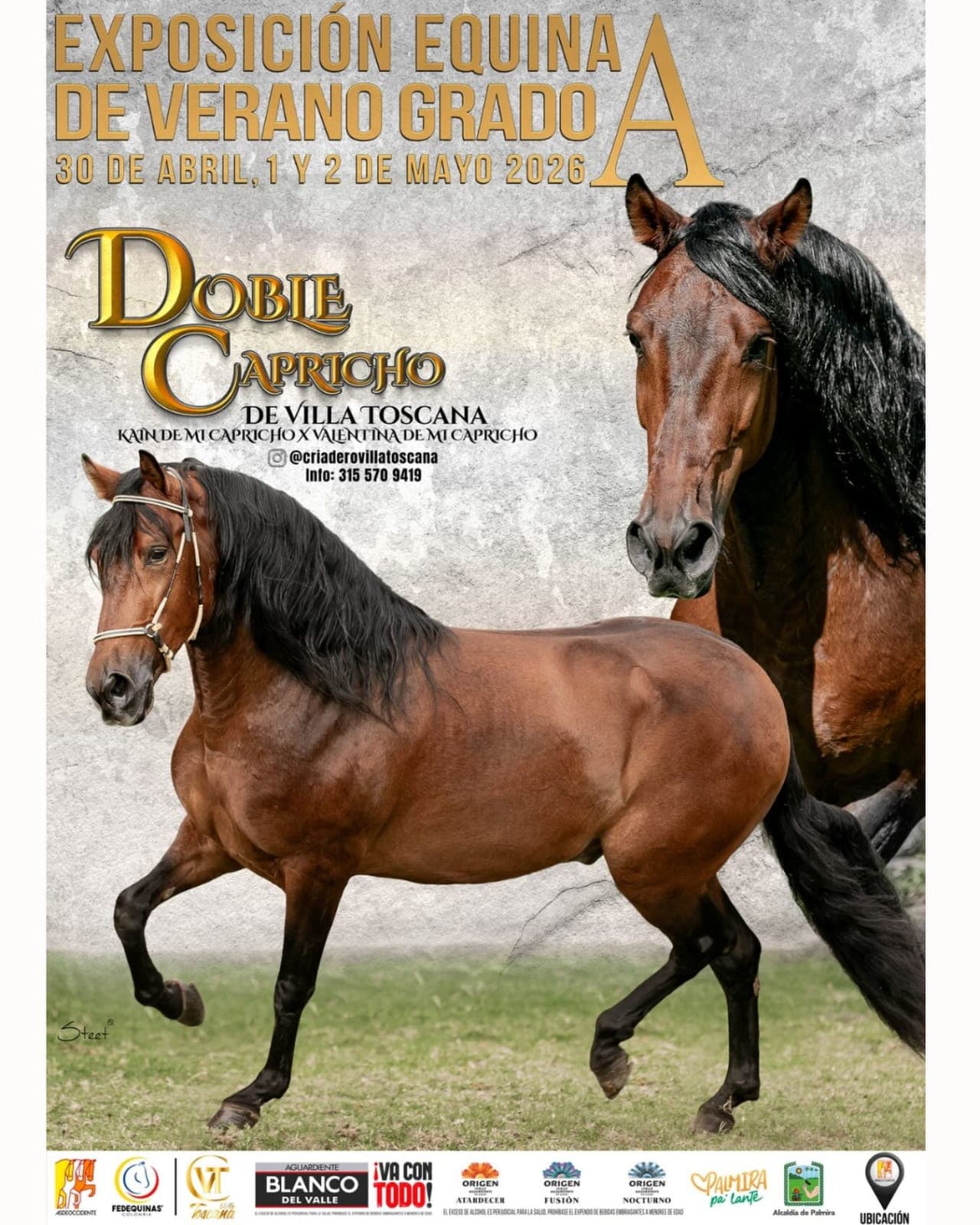 1ª Exposición Equina de Verano Grado A 2026