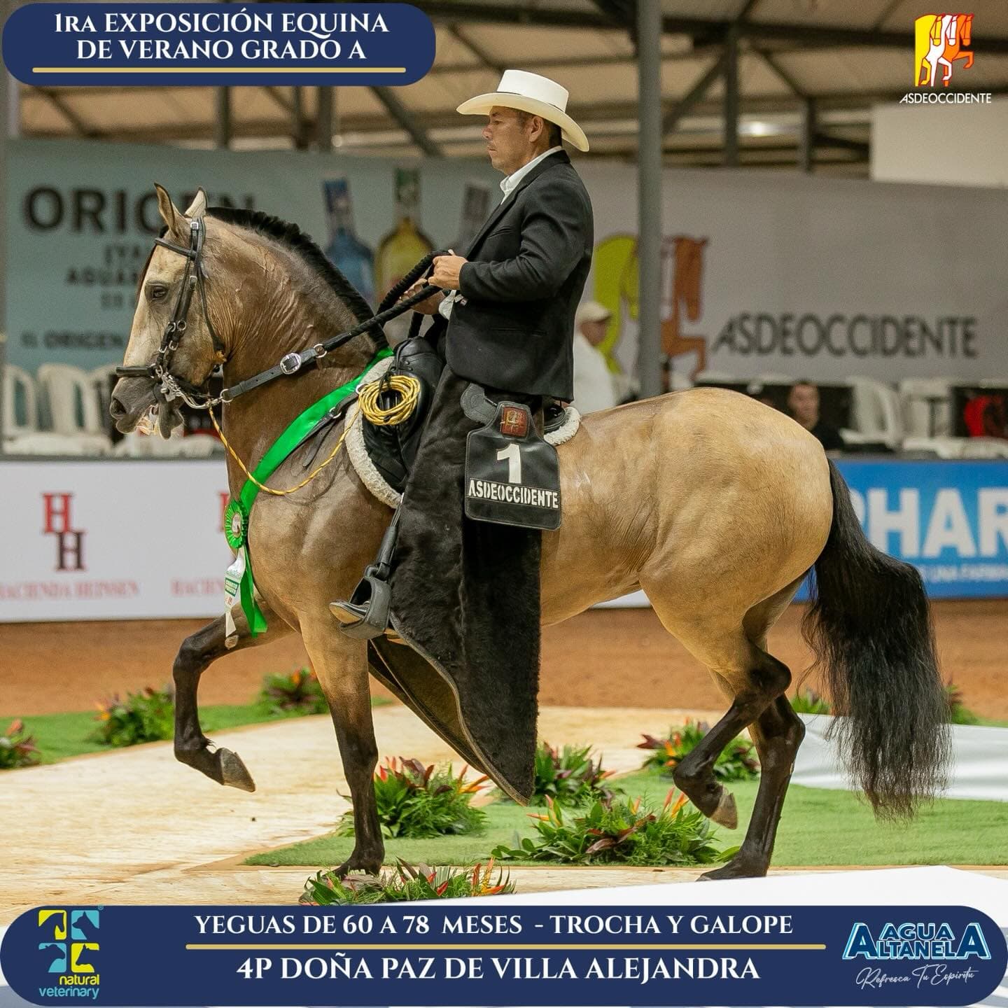 Foto de Doña Paz de Villa Alejandra, Yegua, Criollo Colombiano, Trocha y Galope (P2)