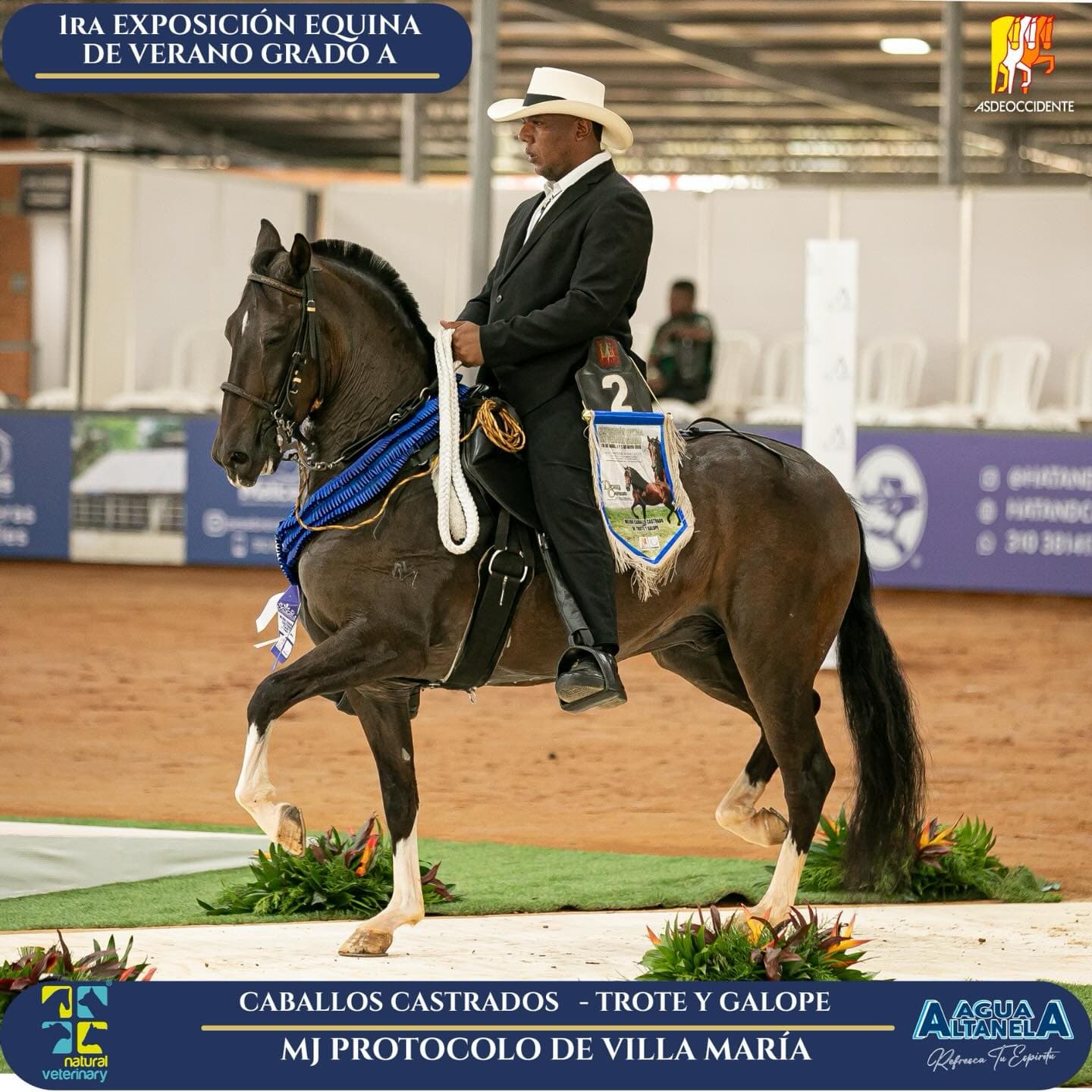 Foto de Protocolo de Villa Maria, Castrado, Criollo Colombiano, Trote y Galope (P1)