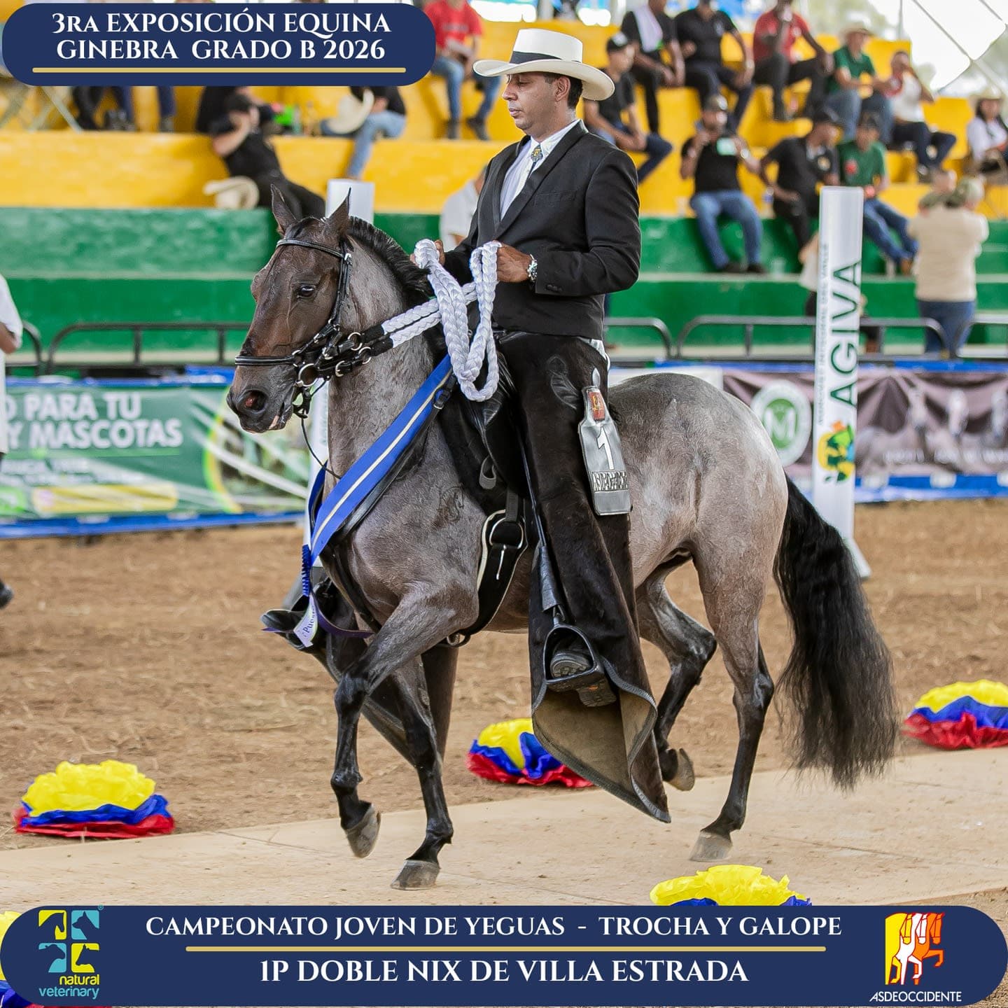 Foto de Doble Nix de Villa Estrada, Yegua, Criollo Colombiano, Trocha y Galope (P2)