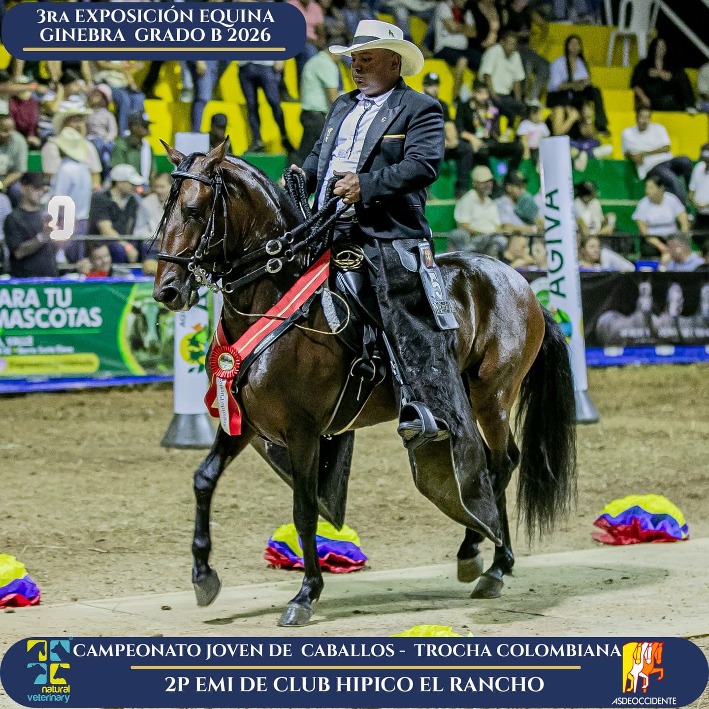 Foto de Emi de Club Hípico el Rancho, Semental, Criollo Colombiano, Trocha Pura Colombiana (P3)