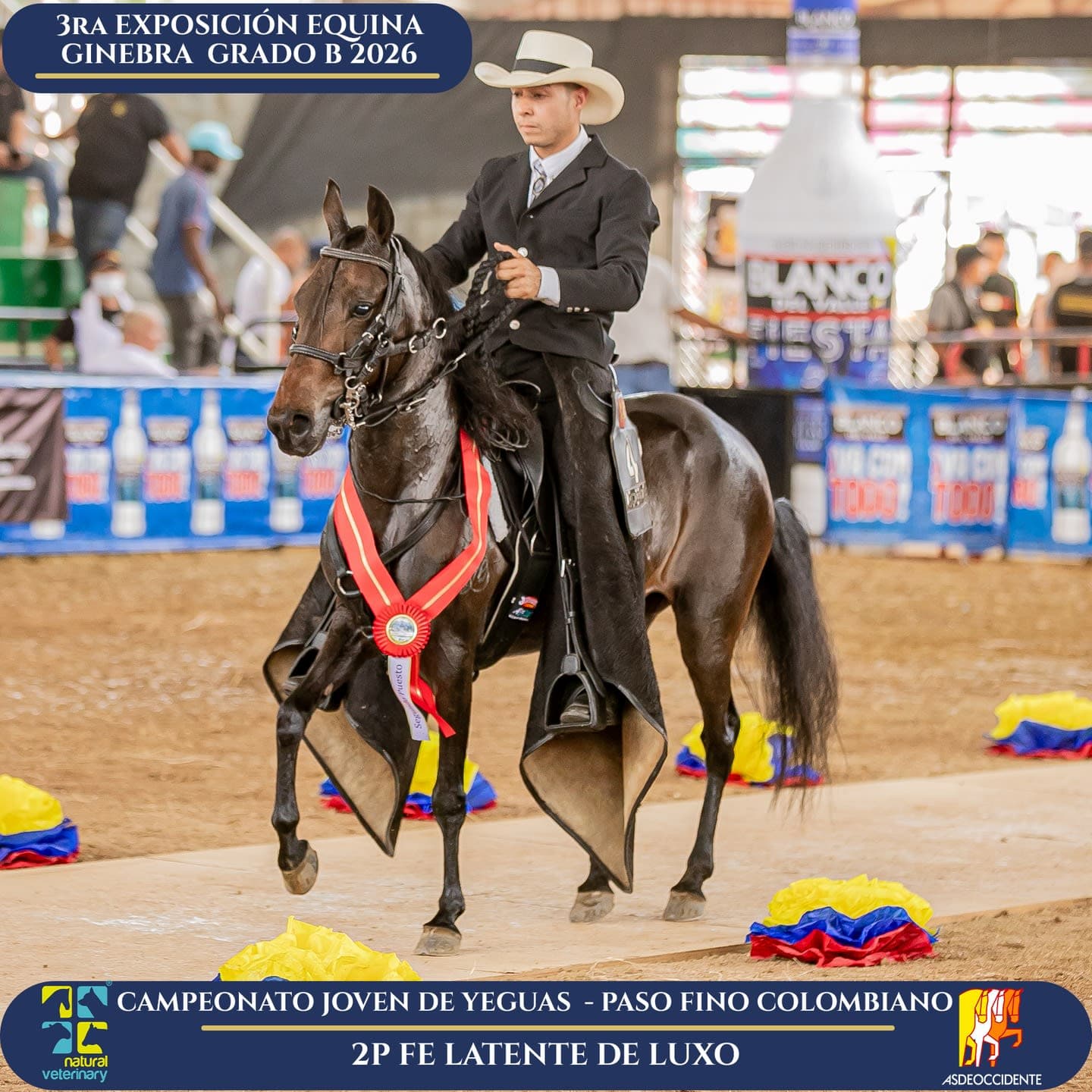 Foto de Fe Latente de Luxo, Yegua, Criollo Colombiano, Paso Fino Colombiano (P4)