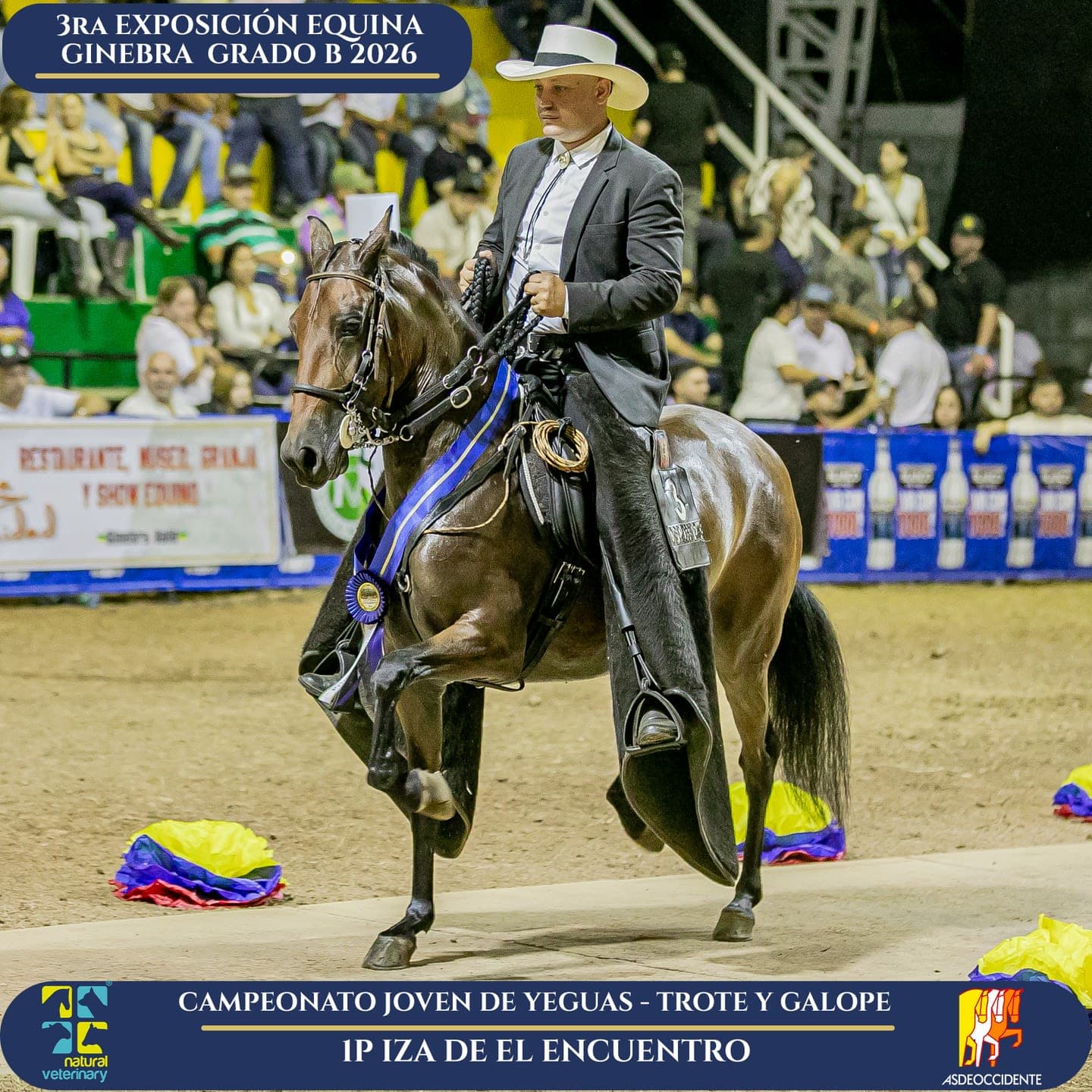 Foto de Iza de el Encuentro, Yegua, Criollo Colombiano, Trote y Galope (P1)