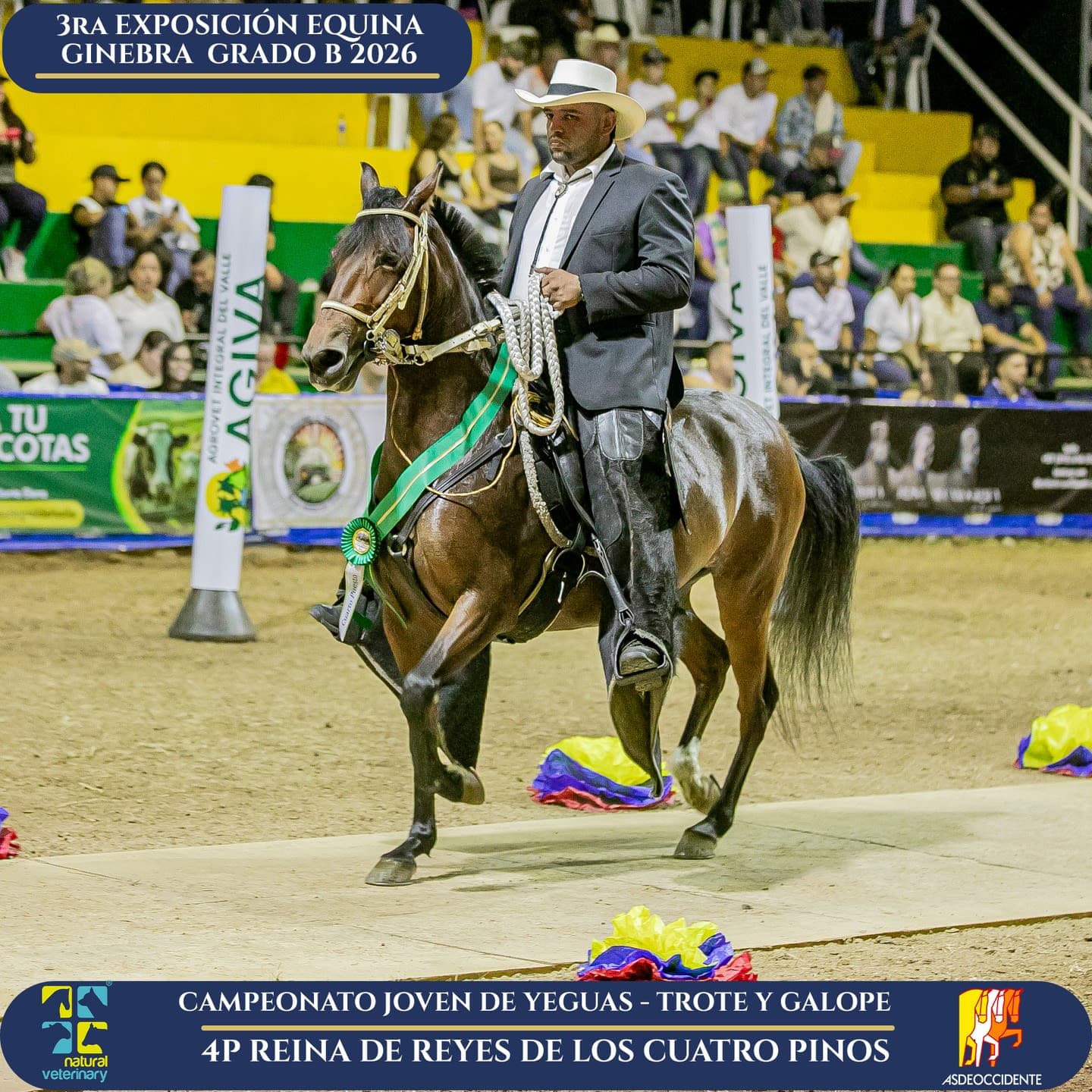 Foto de Reina de Reyes de los Cuatro Pinos, Yegua, Criollo Colombiano, Trote y Galope (P1)