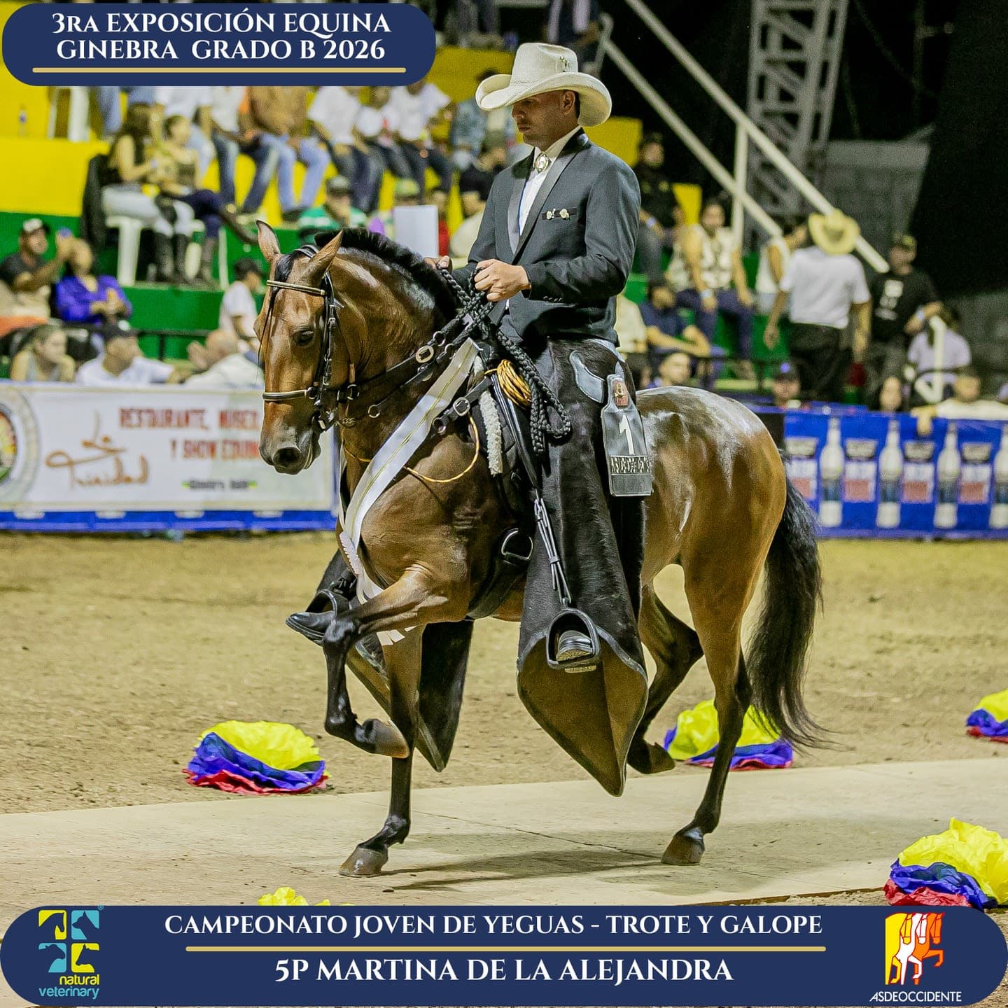 Foto de Martina de la Alejandra, Yegua, Criollo Colombiano, Trote y Galope (P1)