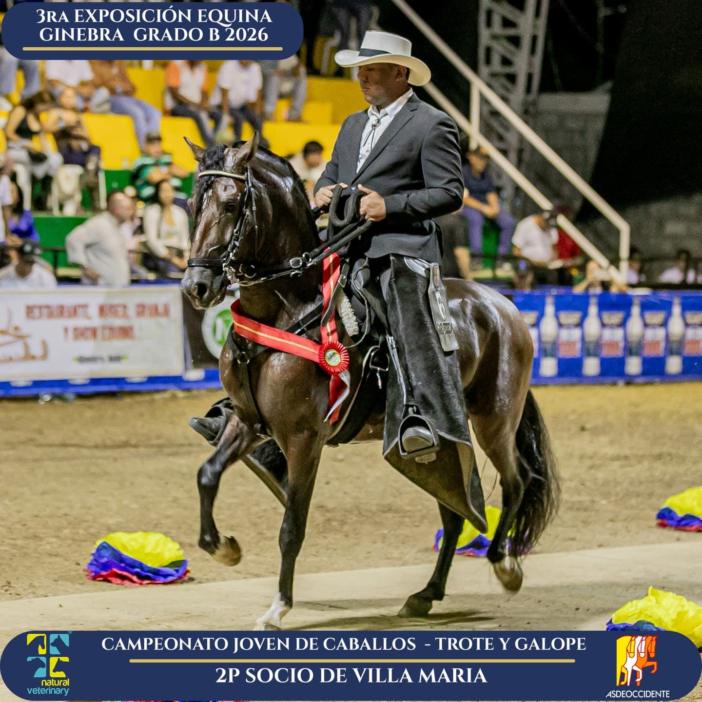 Foto de Socio de Villa Maria, Semental, Criollo Colombiano, Trote y Galope (P1)
