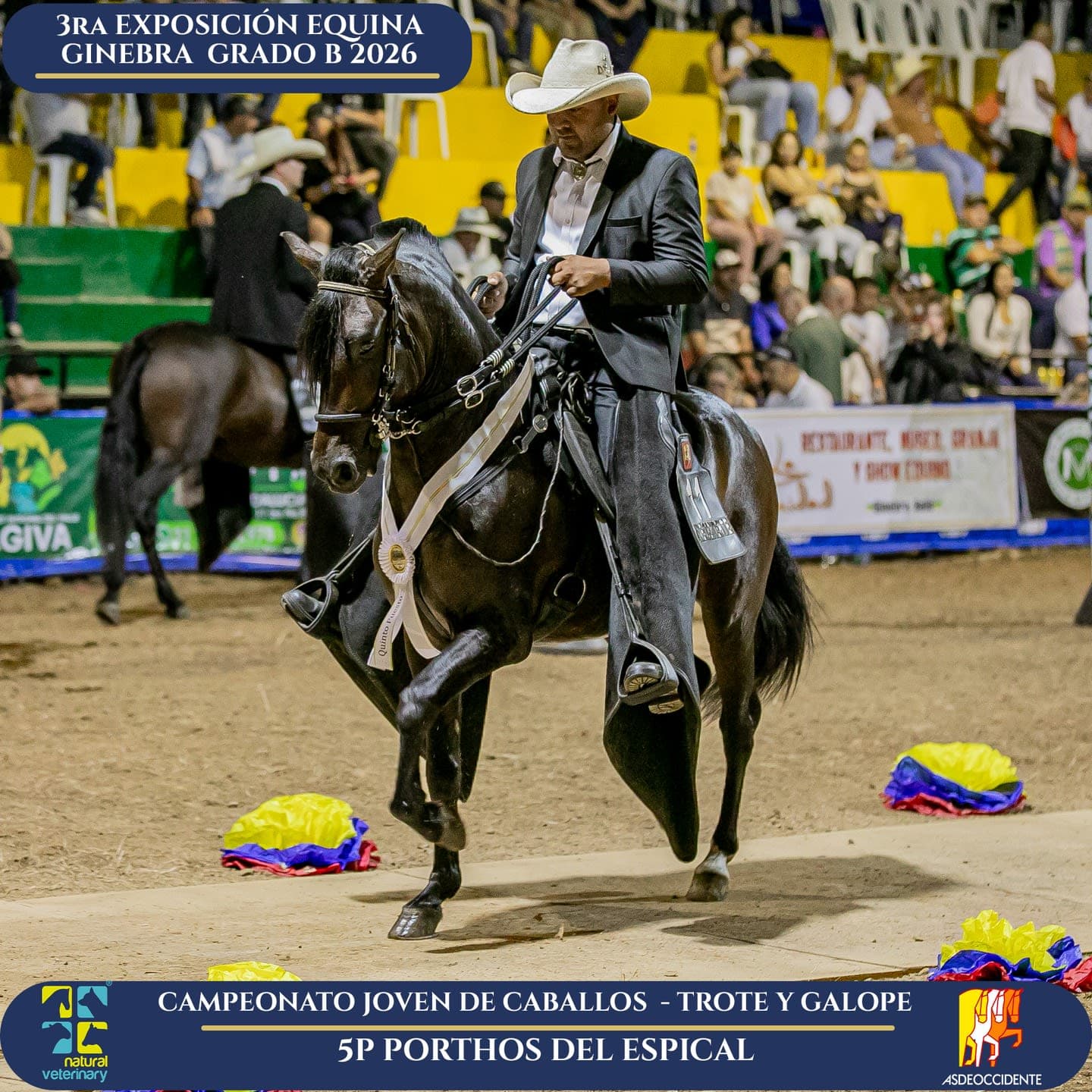 Foto de Porthos del Espical, Semental, Criollo Colombiano, Trote y Galope (P1)