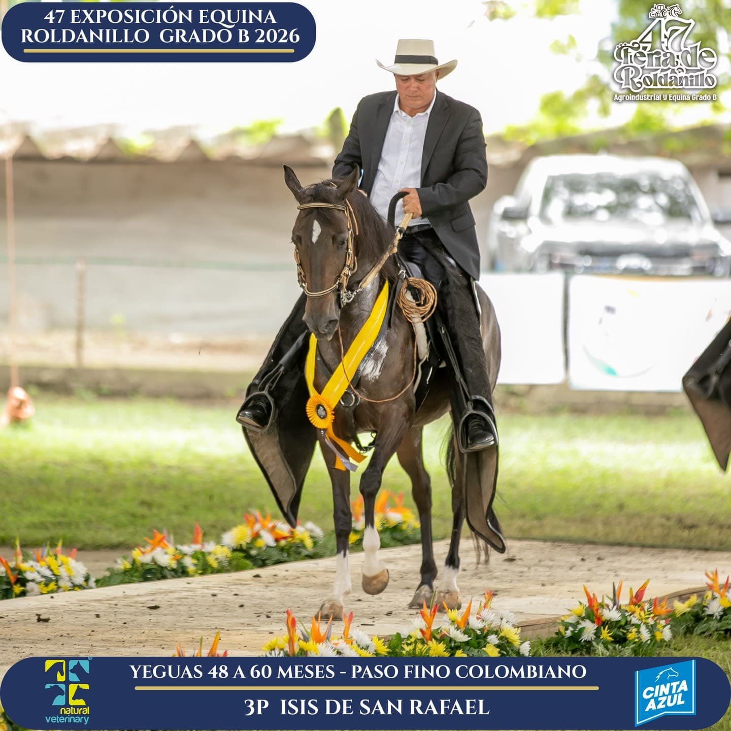 Foto de Isis de San Rafael, Yegua, Criollo Colombiano, Paso Fino Colombiano (P4)