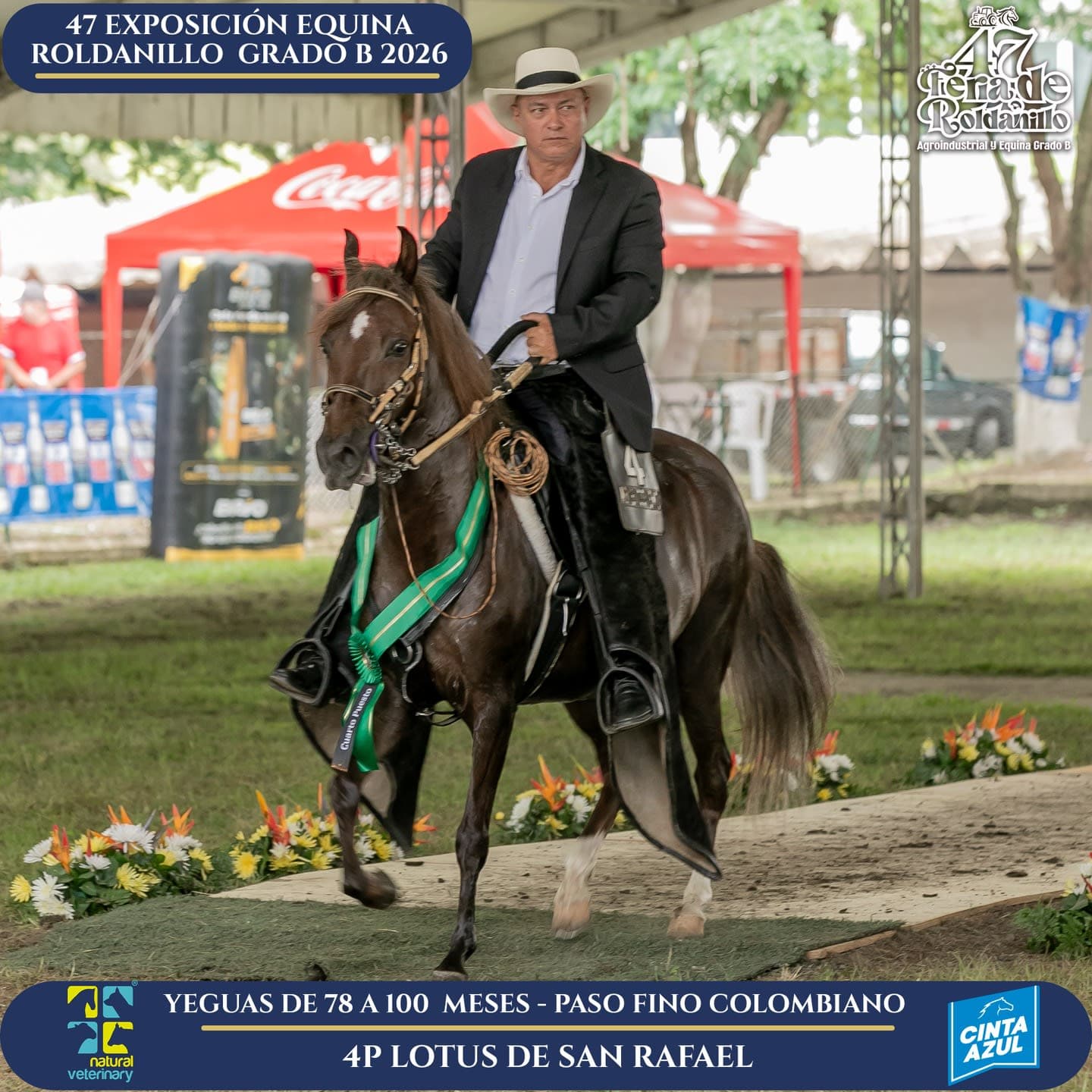 Foto de Lotus de San Rafael, Yegua, Criollo Colombiano, Paso Fino Colombiano (P4)
