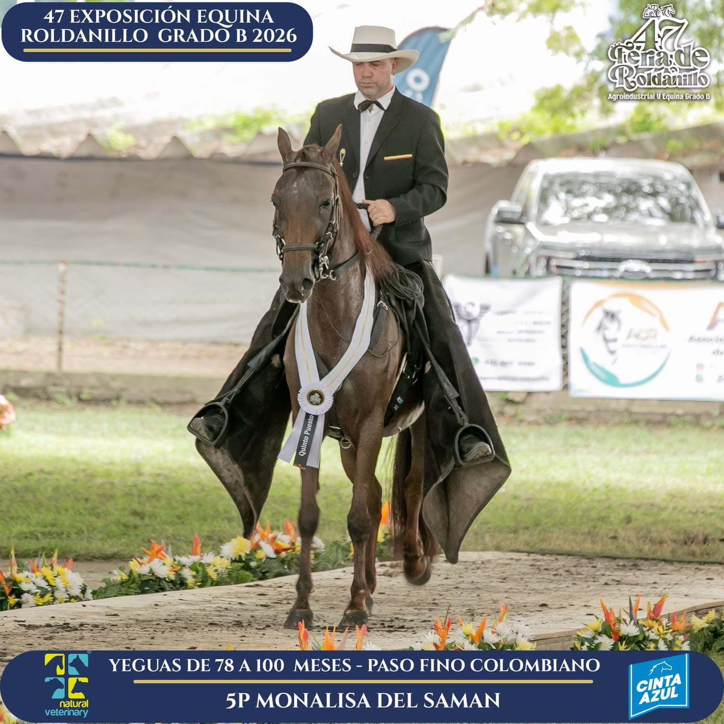 Foto de Monalisa del Samán, Yegua, Criollo Colombiano, Paso Fino Colombiano (P4)