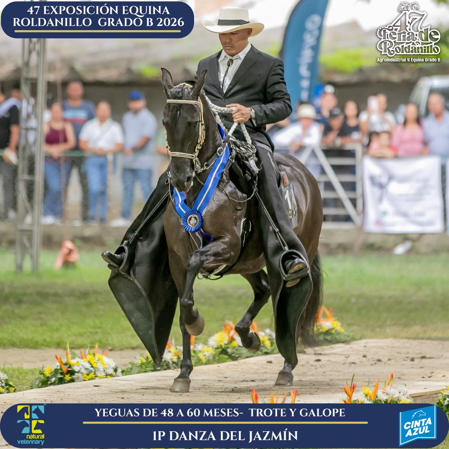 Foto de Danza del Jazmin, Yegua, Criollo Colombiano, Trote y Galope (P1)