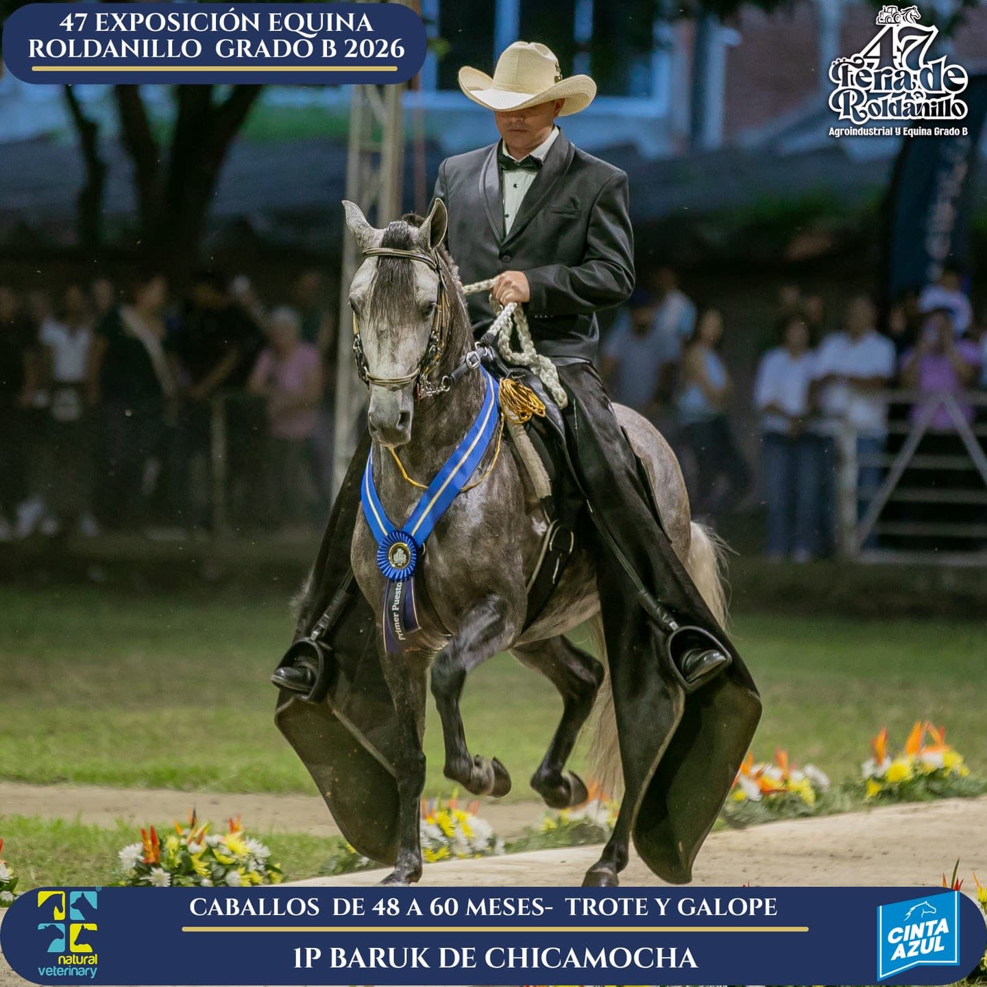 Foto de Baruk de Chicamocha, Semental, Criollo Colombiano, Trote y Galope (P1)
