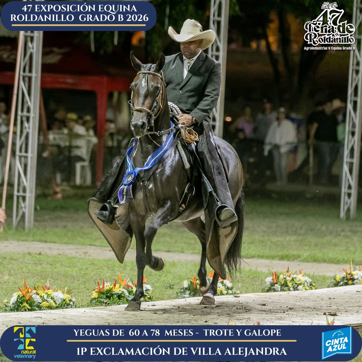 Foto de Exclamación de Villa Alejandra, Yegua, Criollo Colombiano, Trote y Galope (P1)