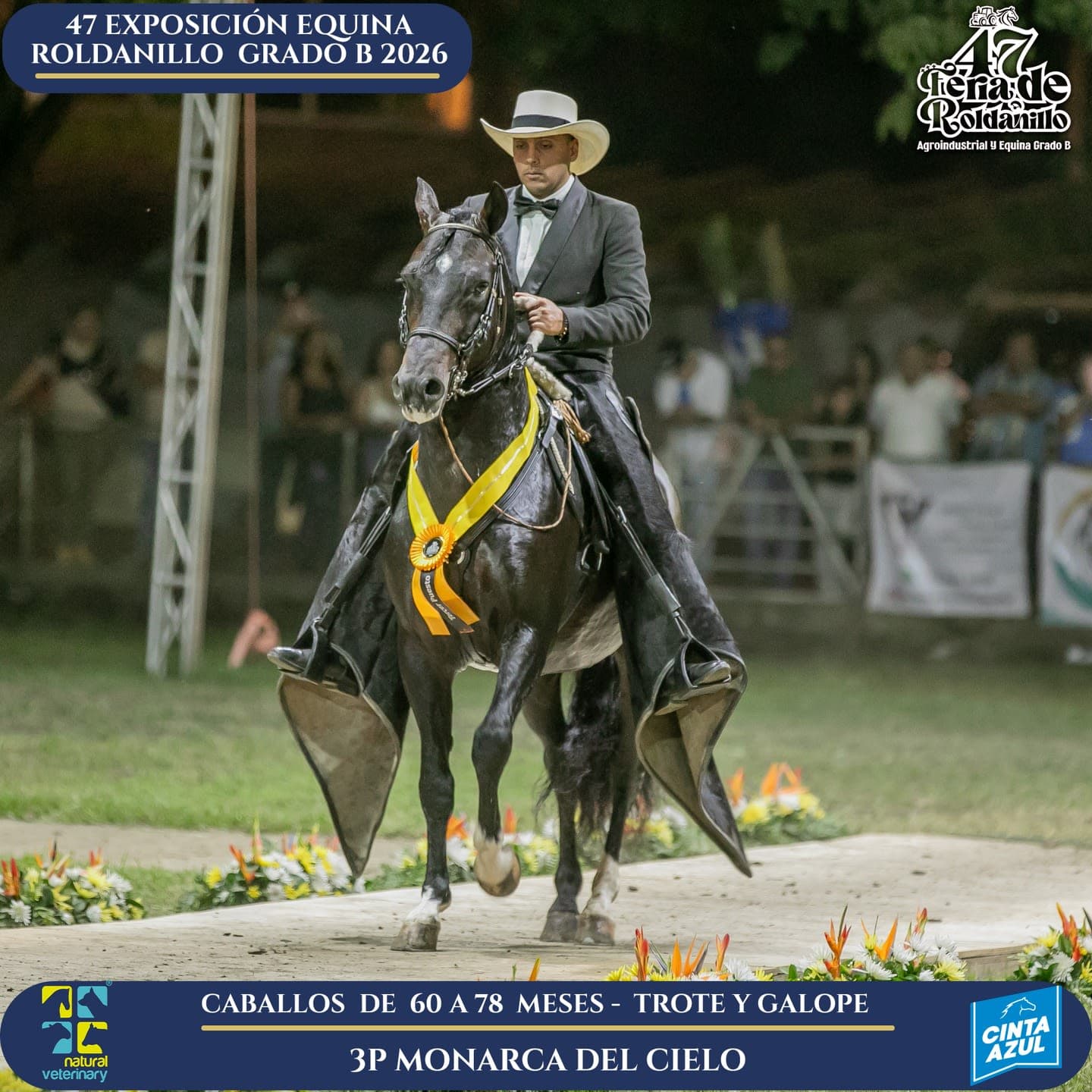 Foto de Monarca del Cielo, Semental, Criollo Colombiano, Trote y Galope (P1)