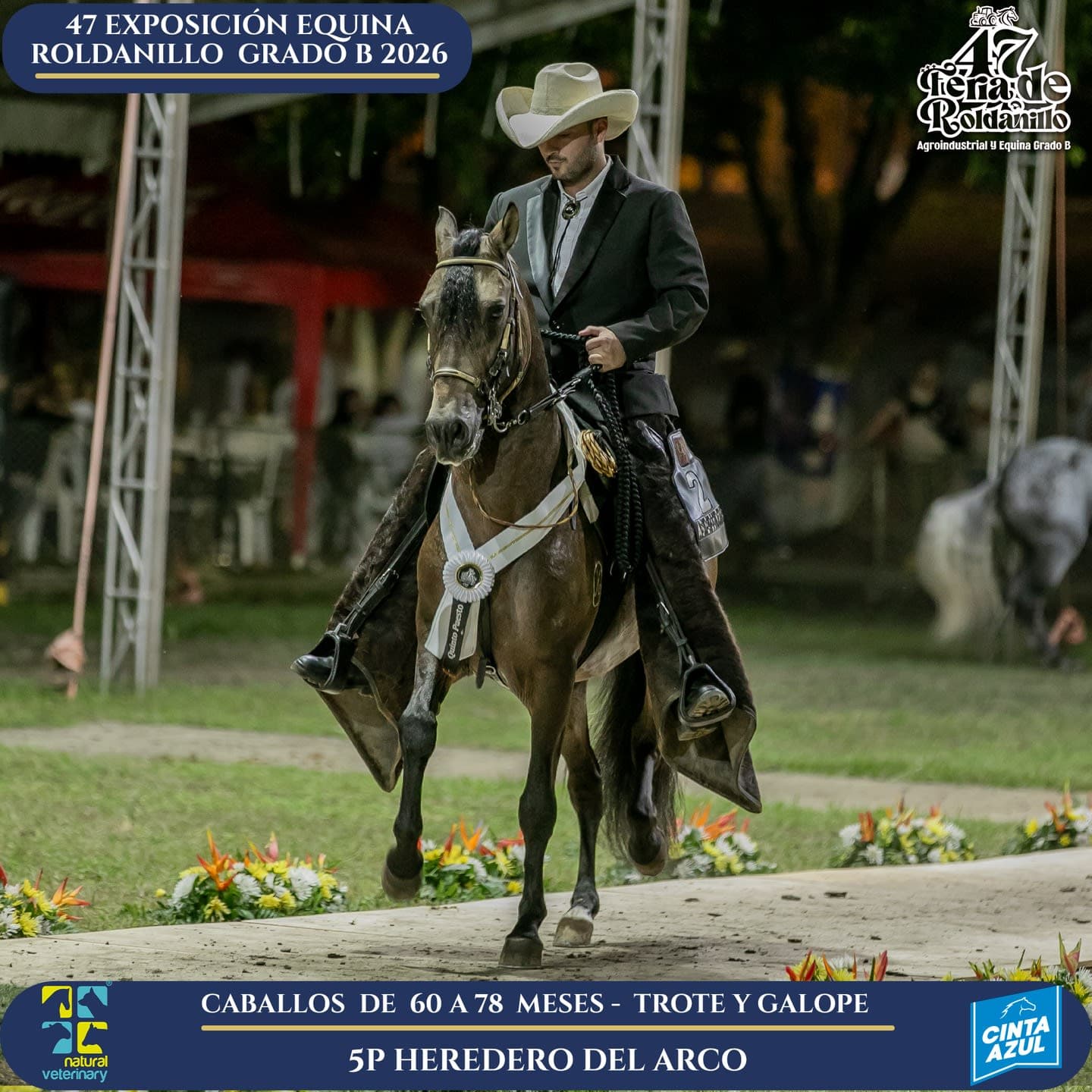 Foto de Heredero del Arco, Semental, Criollo Colombiano, Trote y Galope (P1)