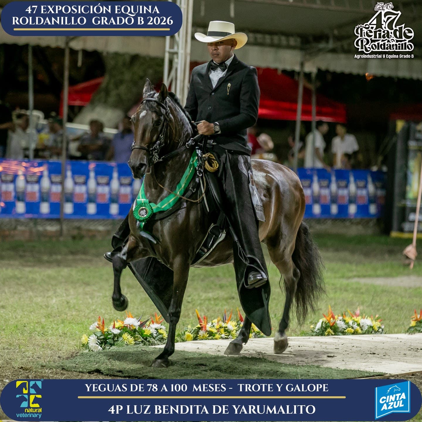 Foto de Luz Bendita de Yarumalito, Yegua, Criollo Colombiano, Trote y Galope (P1)