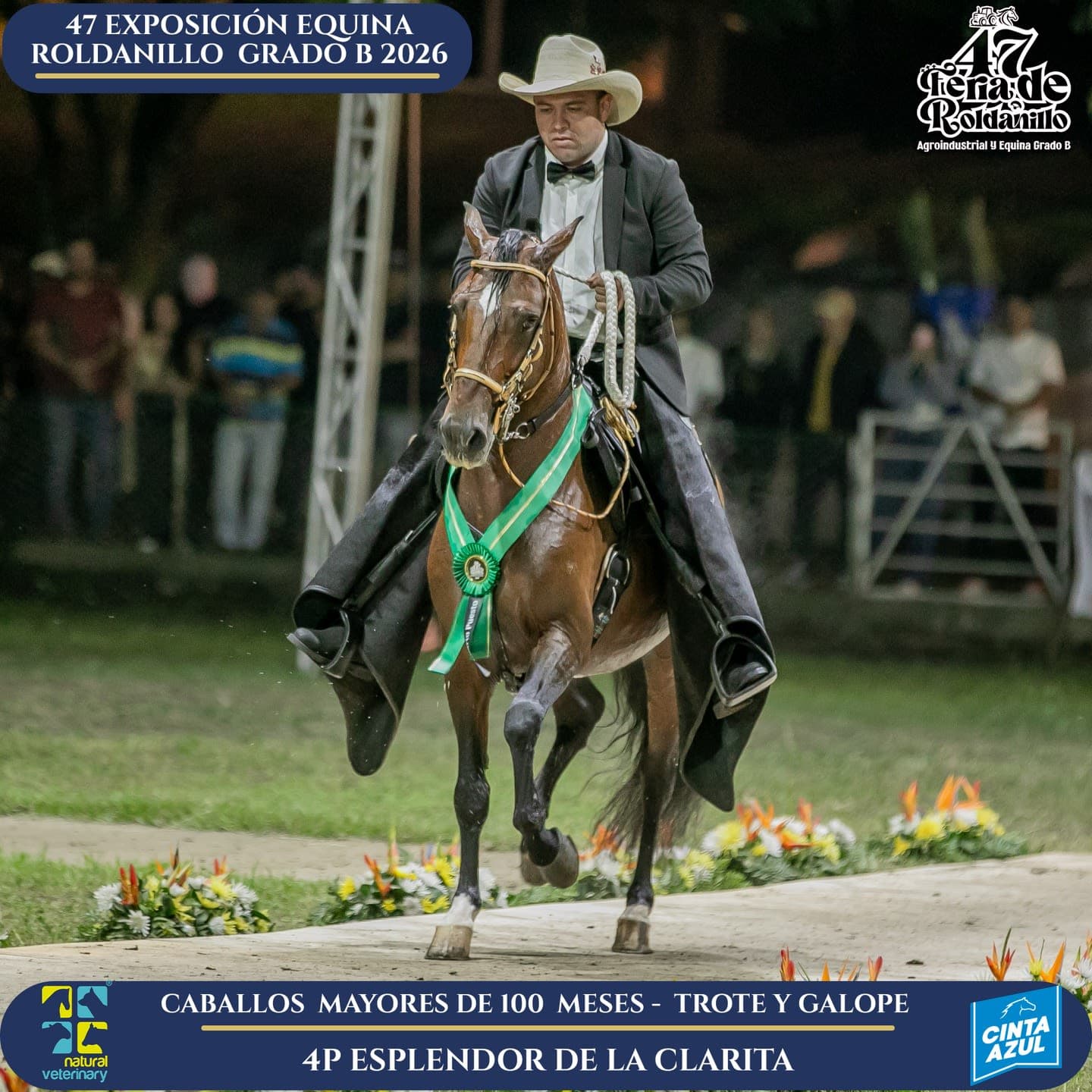 Foto de Esplendor de la Clarita, Semental, Criollo Colombiano, Trote y Galope (P1)