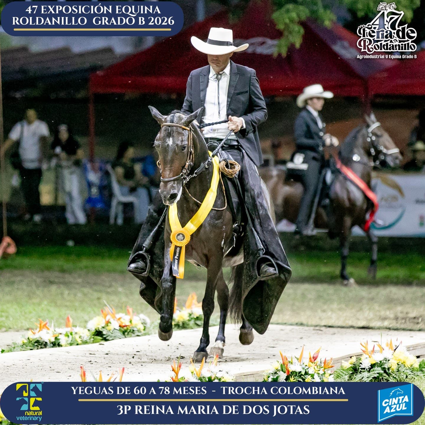 Foto de Reina Maria de Dos Jotas, Yegua, Criollo Colombiano, Trocha Pura Colombiana (P3)