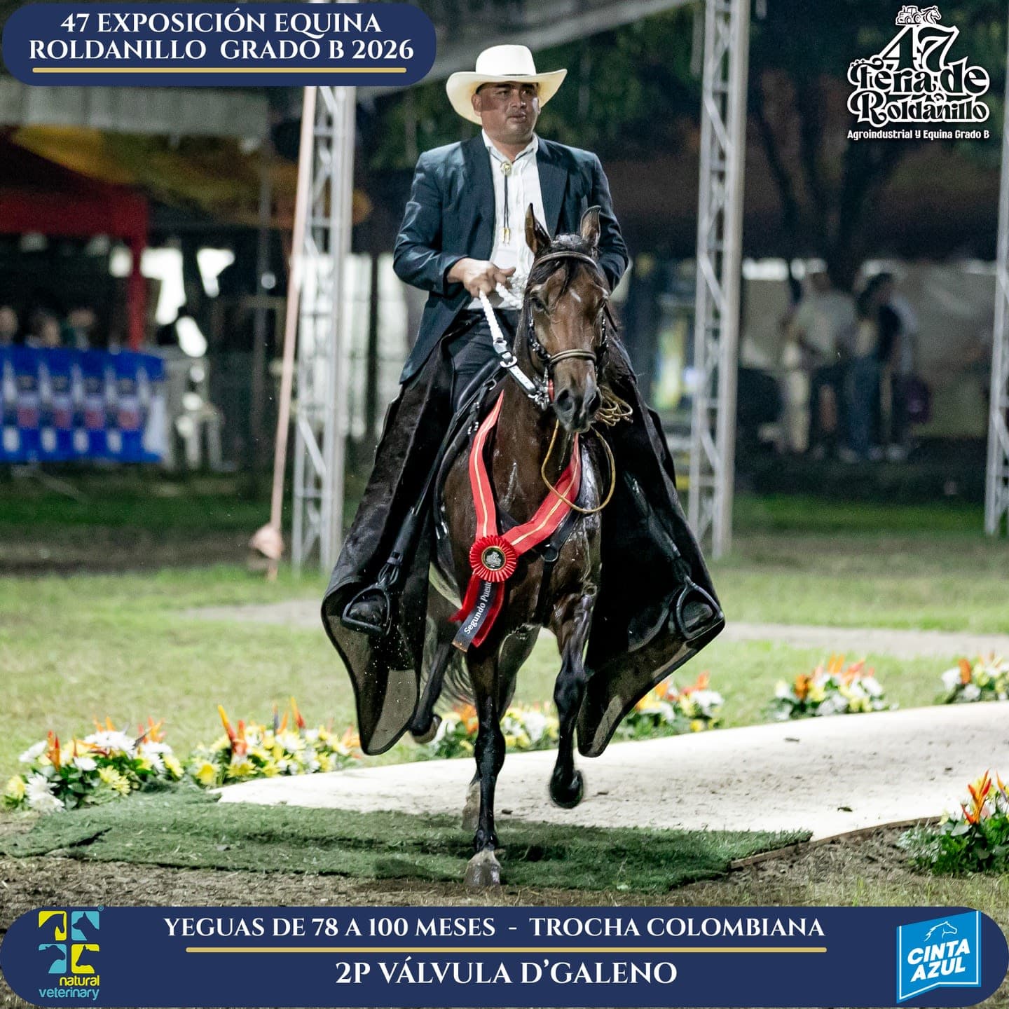 Foto de Válvula D’Galeno, Yegua, Criollo Colombiano, Trocha Pura Colombiana (P3)