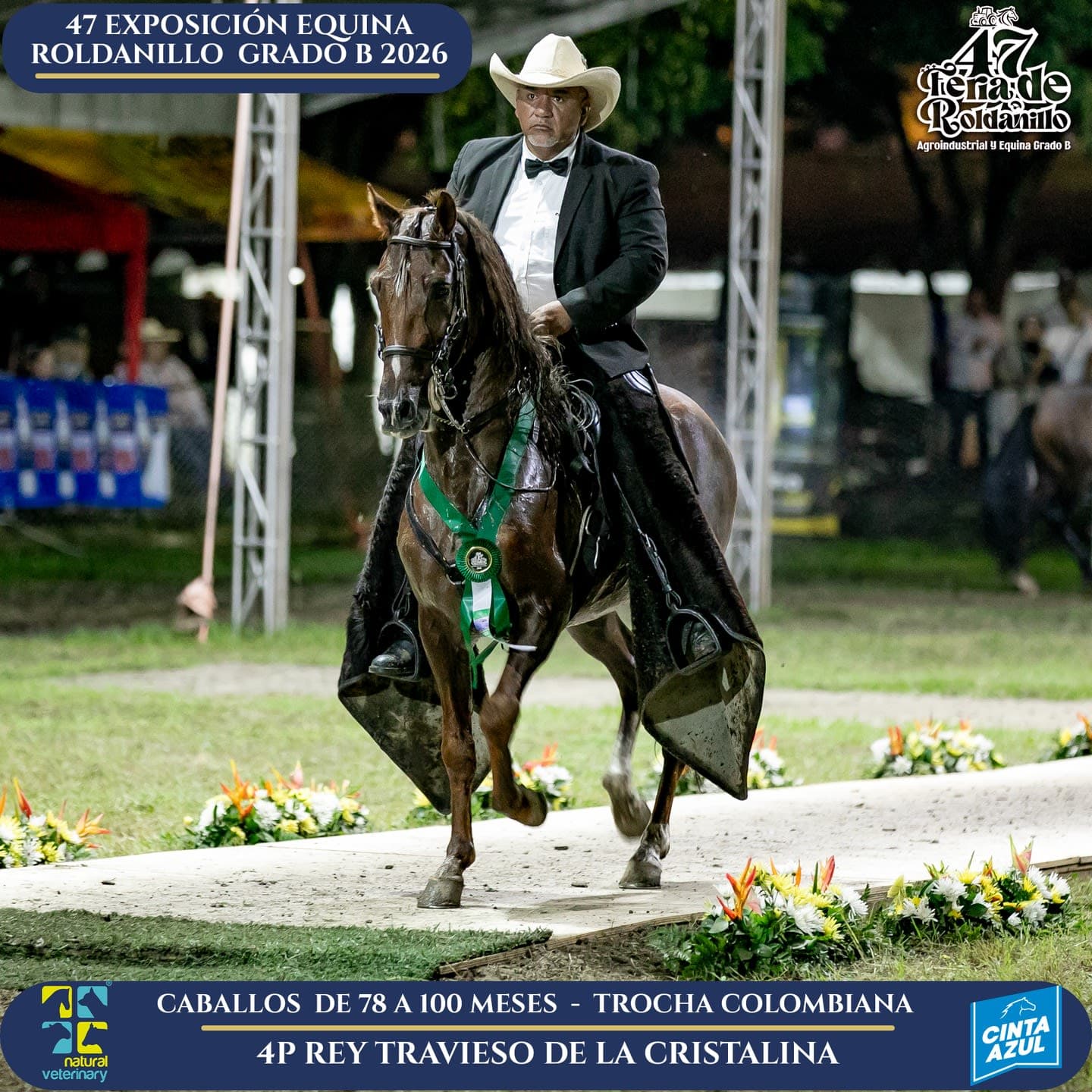 Foto de Rey Travieso de la Cristalina, Semental, Criollo Colombiano, Trocha Pura Colombiana (P3)