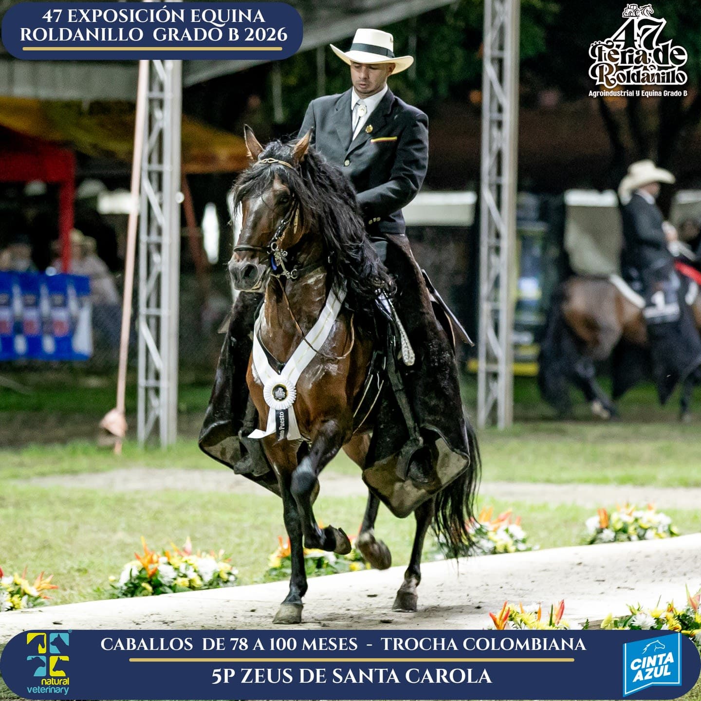 Foto de Zeus de Santa Corola, Semental, Criollo Colombiano, Trocha Pura Colombiana (P3)