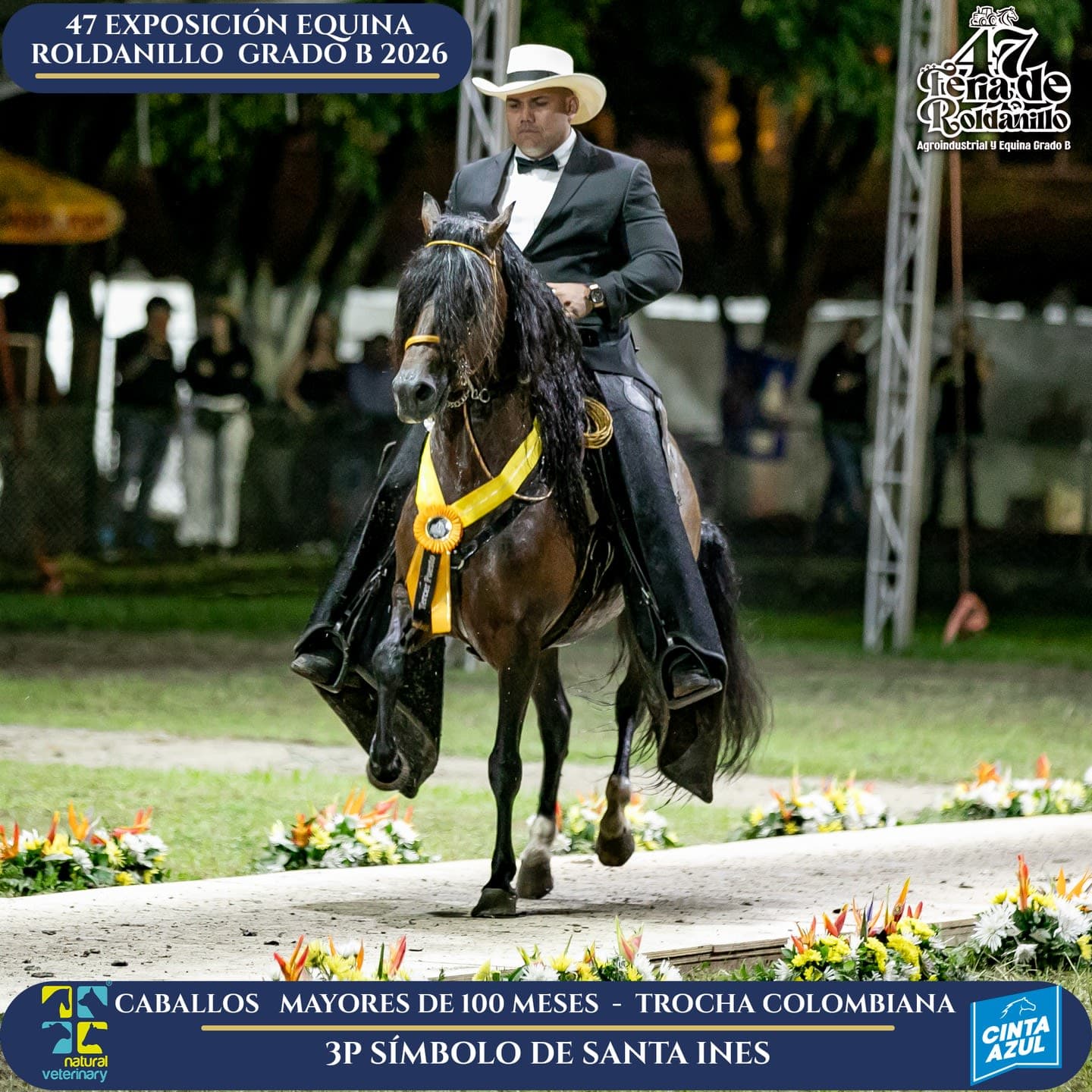 Foto de Simbolo de Santa Ines, Semental, Criollo Colombiano, Trocha Pura Colombiana (P3)