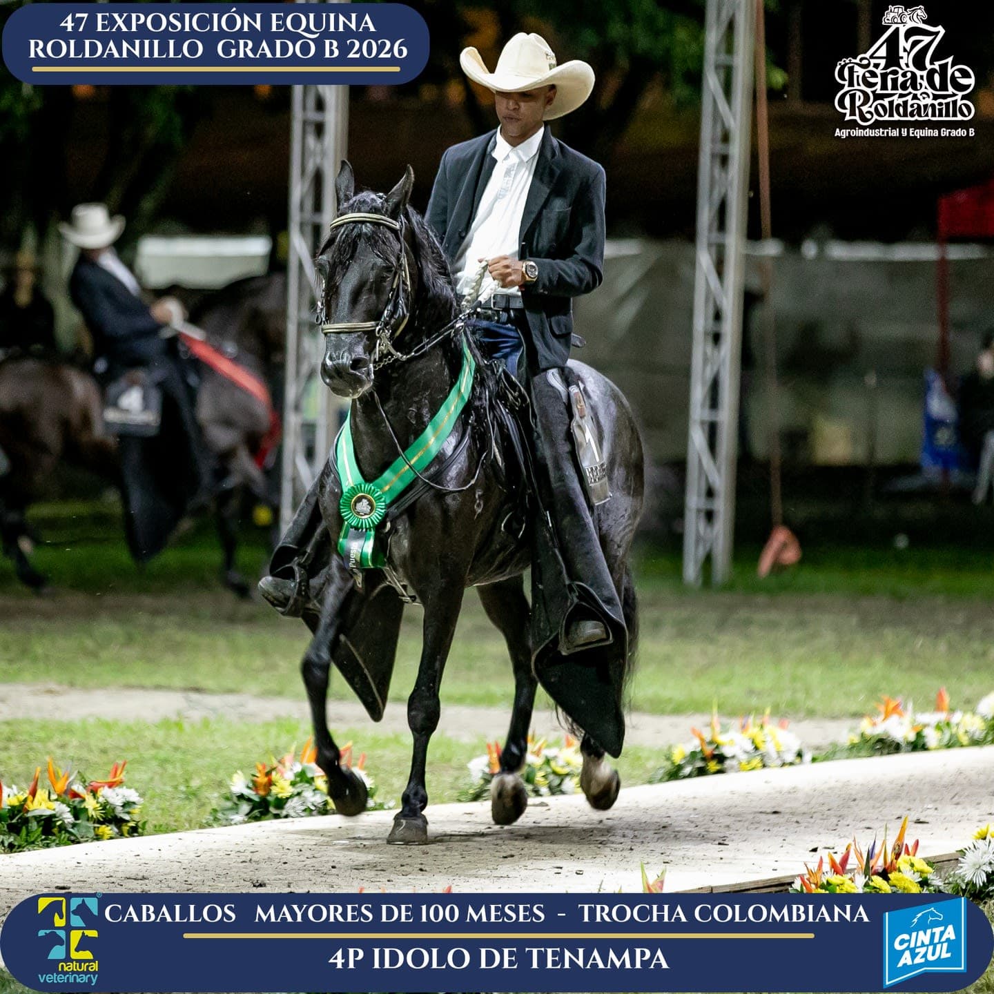 Foto de Idolo de Tenampa, Semental, Criollo Colombiano, Trocha Pura Colombiana (P3)