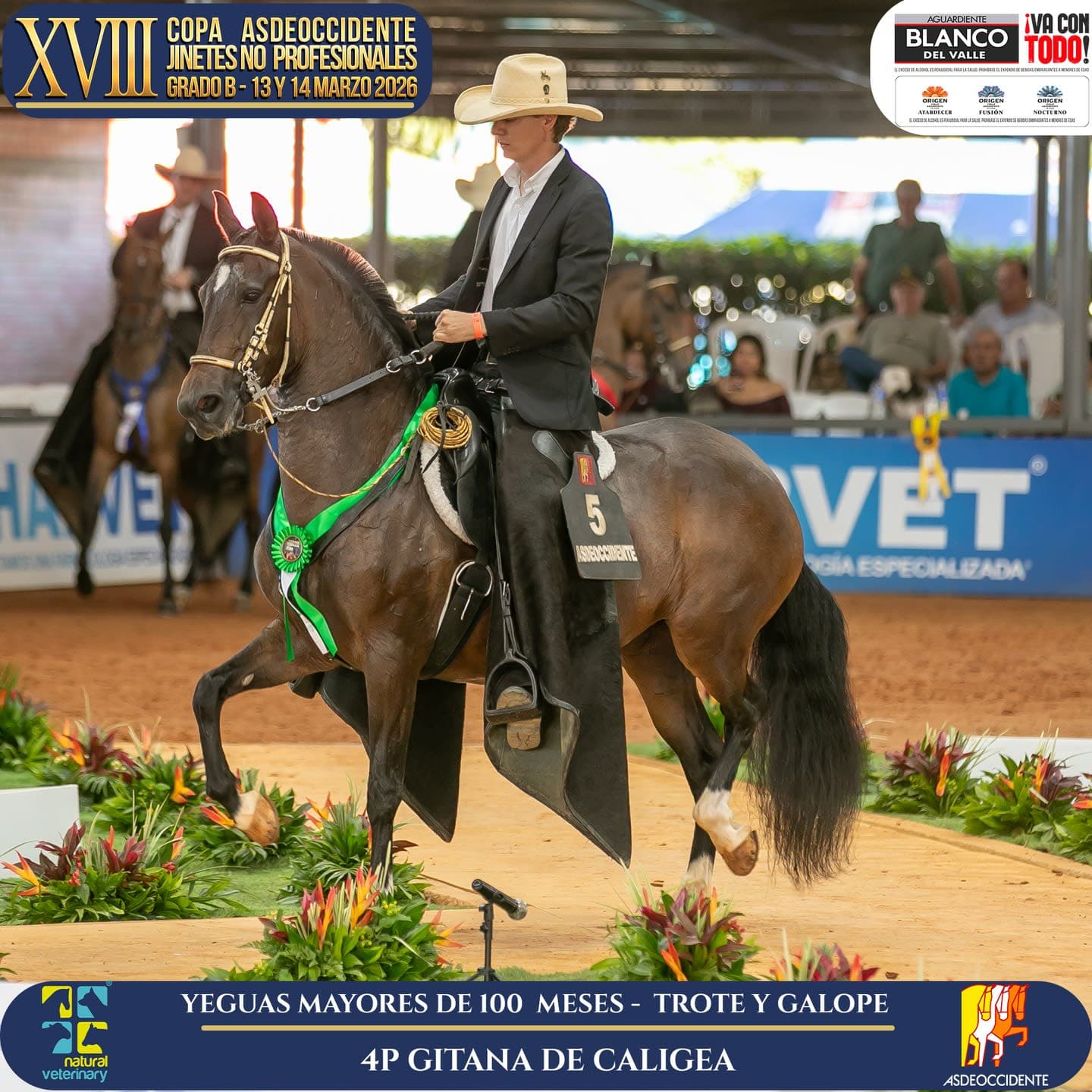 Foto de Gitana de Caligea, Yegua, Criollo Colombiano, Trote y Galope (P1)
