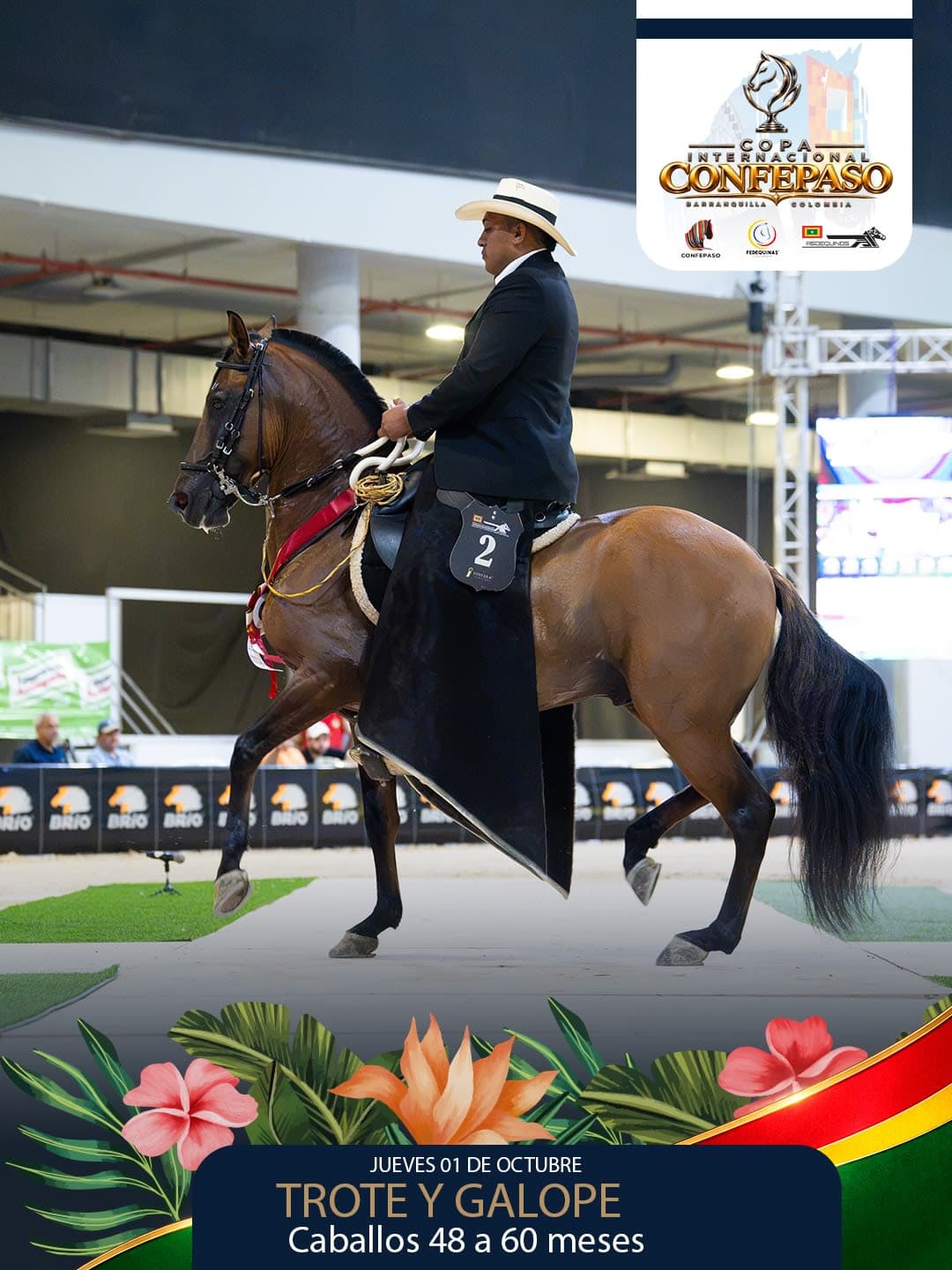 Foto de Diamante de la Primavera, Semental, Criollo Colombiano, Trote y Galope (P1)