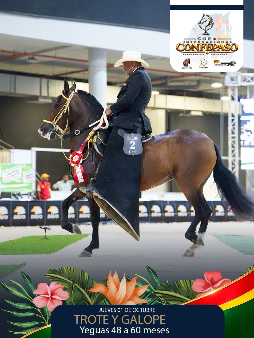 Foto de Artemisa de Cayala, Yegua, Criollo Colombiano, Trote y Galope (P1)