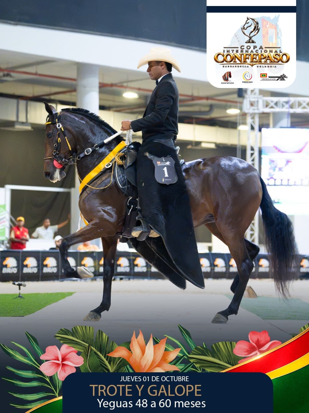 Foto de Tentadora de los Cascabeles, Yegua, Criollo Colombiano, Trote y Galope (P1)
