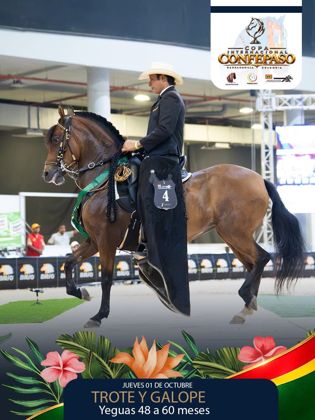 Foto de Aria de Rancho Don Matías, Yegua, Criollo Colombiano, Trote y Galope (P1)