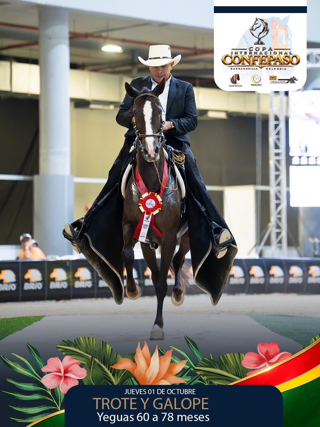 Foto de Vanidosa de la Esperanza, Yegua, Criollo Colombiano, Trote y Galope (P1)