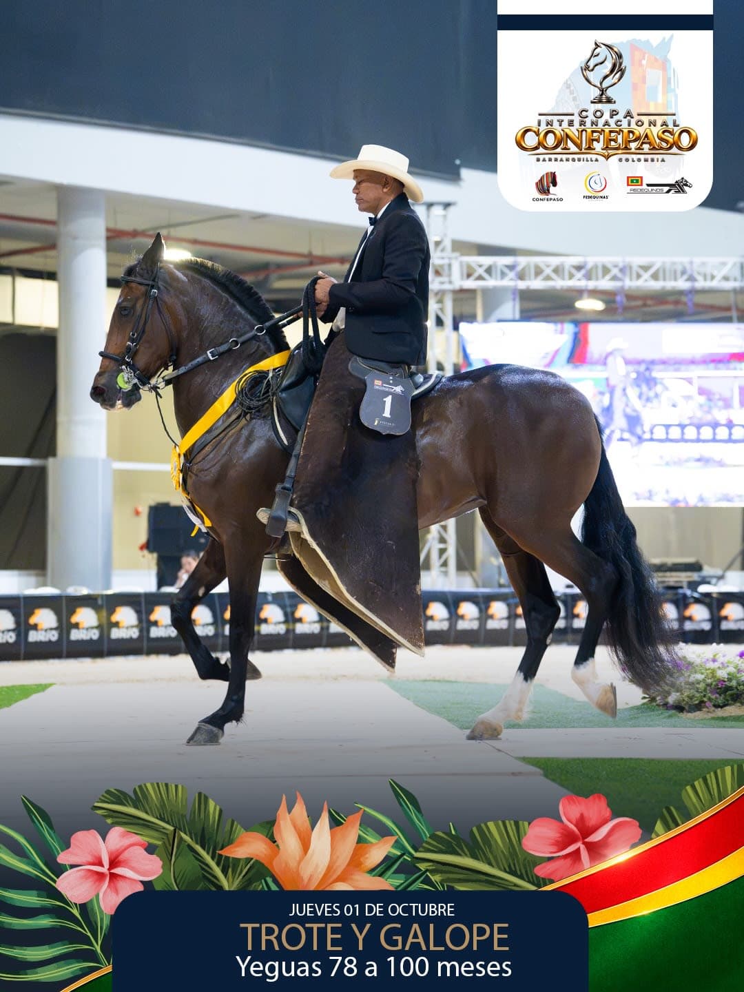 Foto de Samara de la Duquesa, Yegua, Criollo Colombiano, Trote y Galope (P1)
