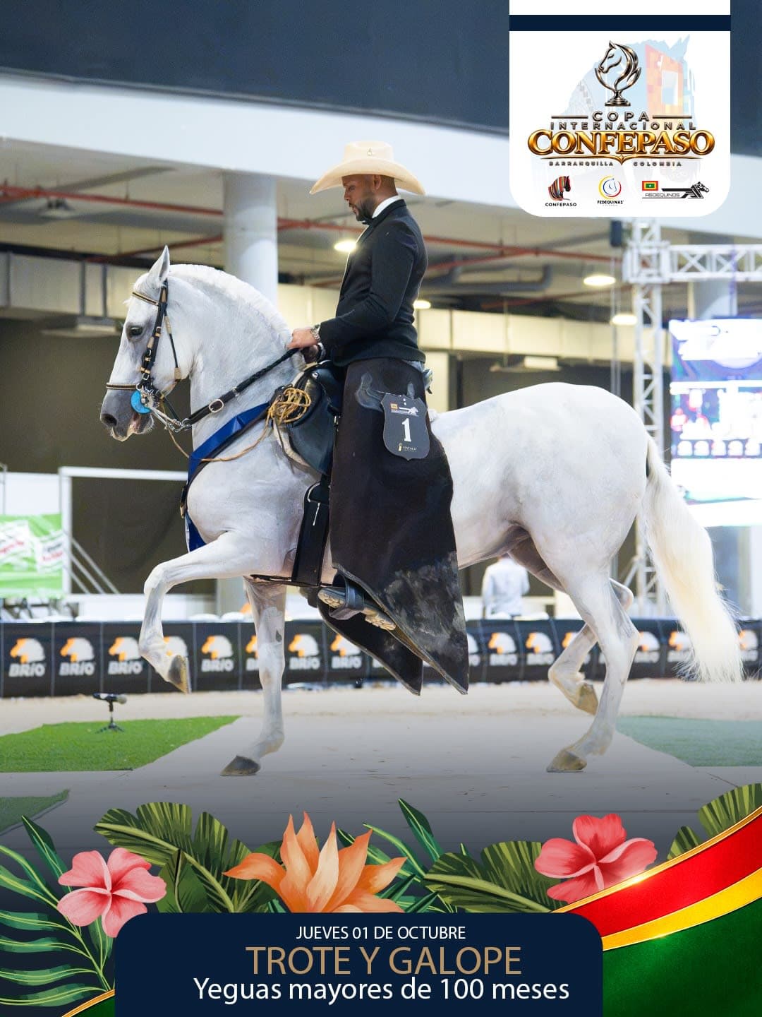 Foto de Garota de Pozo Blanco, Yegua, Criollo Colombiano, Trote y Galope (P1)