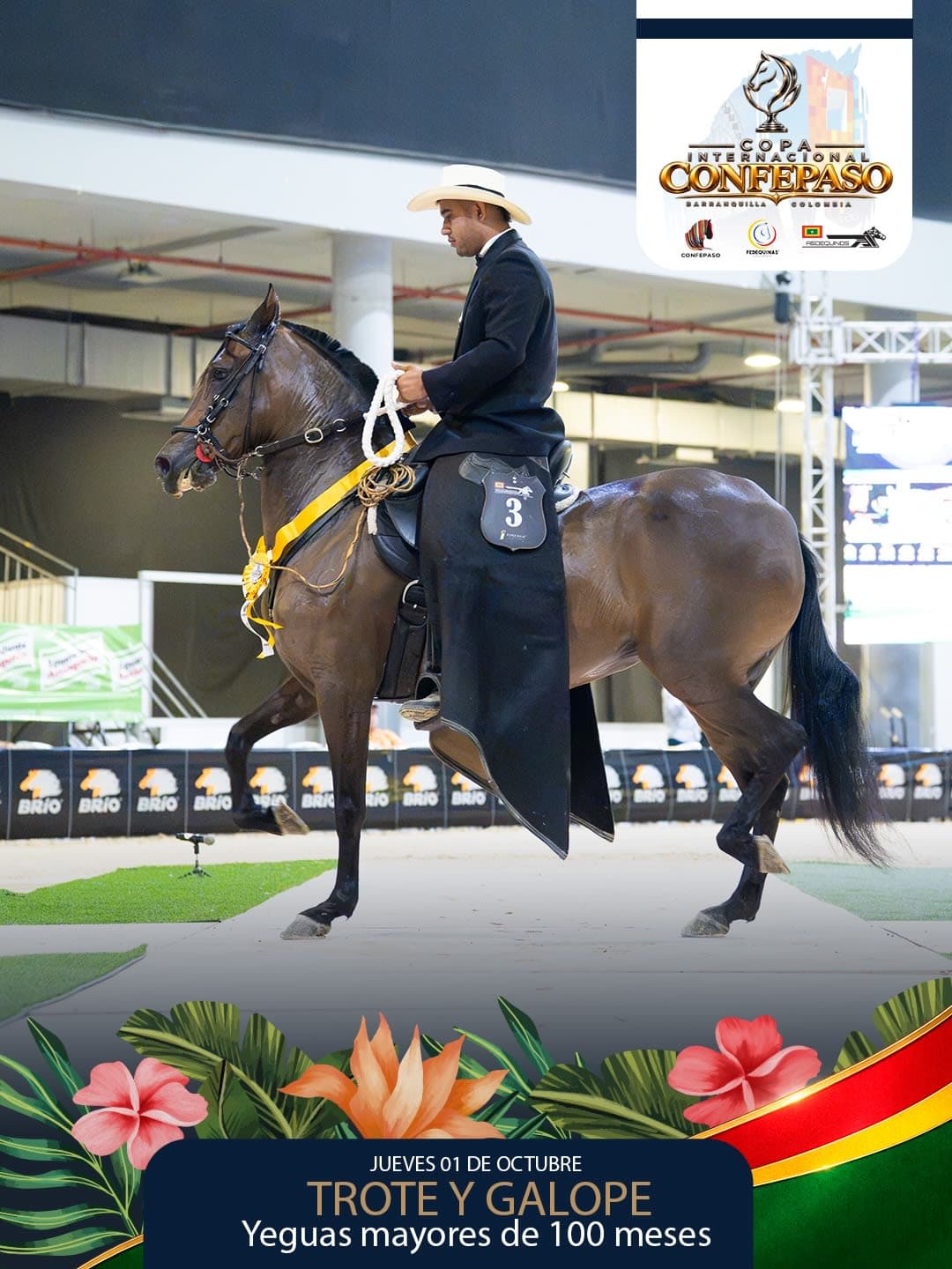 Foto de Victoria de la Esperanza, Yegua, Criollo Colombiano, Trote y Galope (P1)