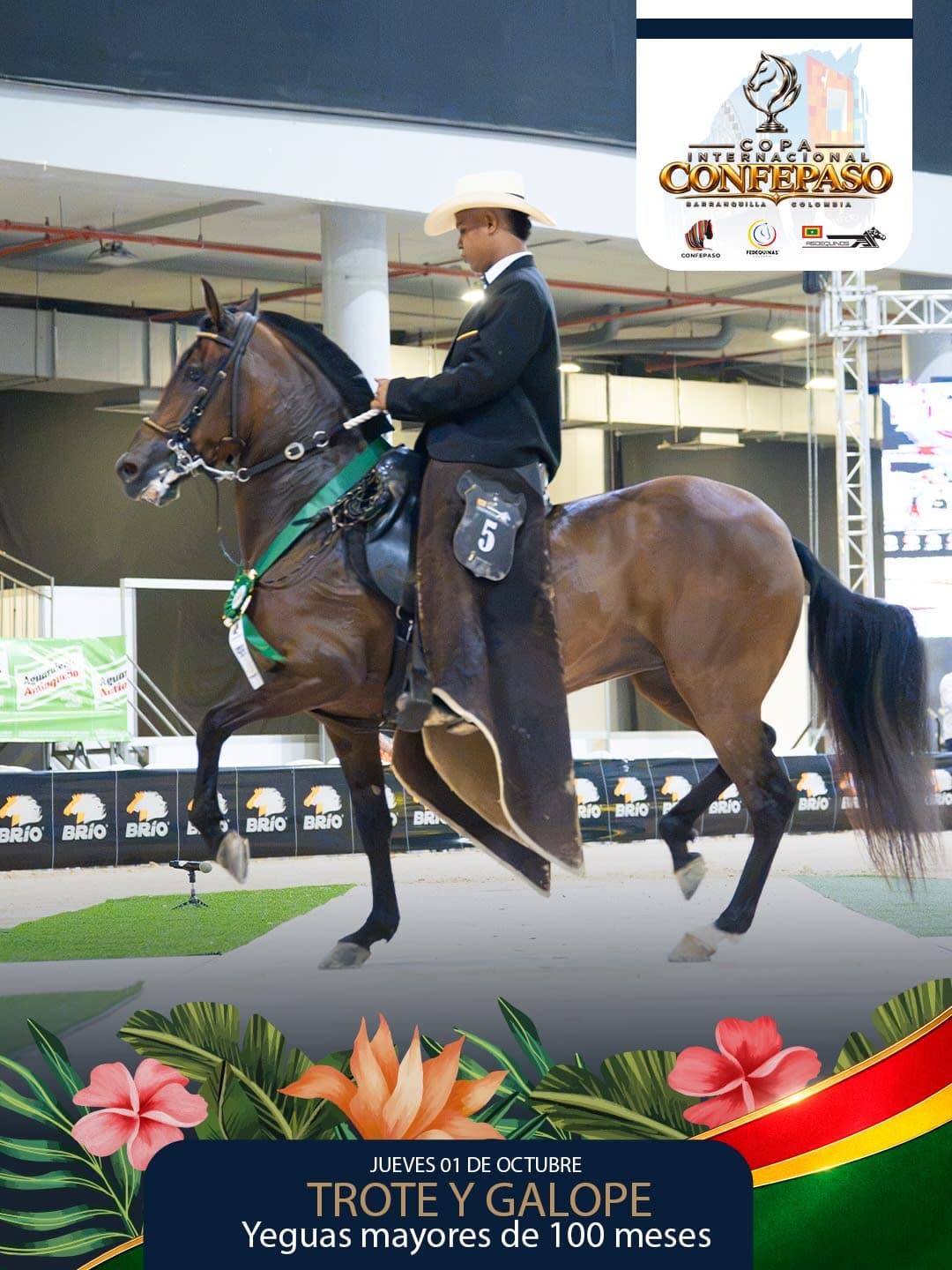 Foto de Electra II del Diluvio, Yegua, Criollo Colombiano, Trote y Galope (P1)