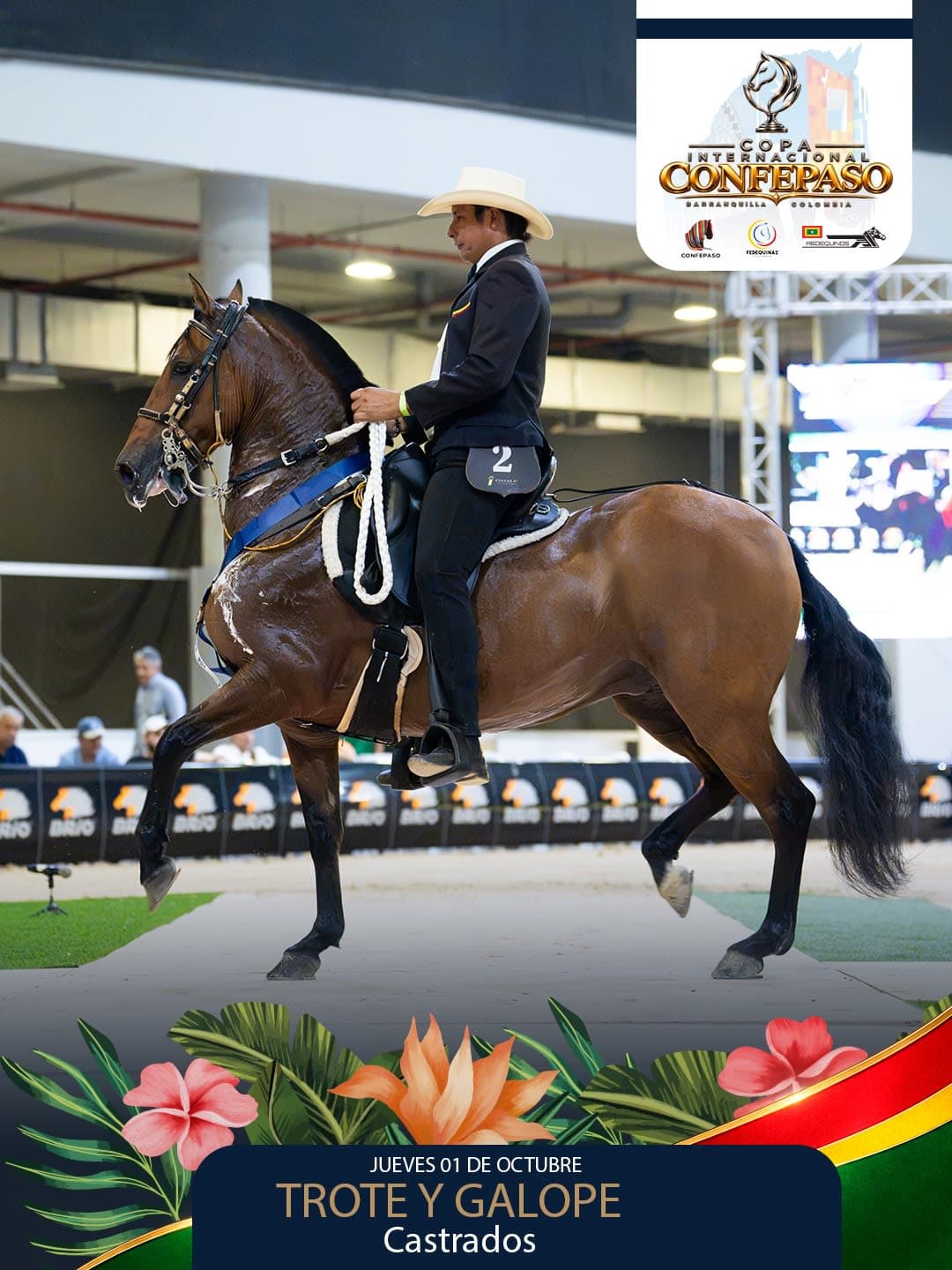 Foto de Arrabal de la Almeria, Castrado, Criollo Colombiano, Trote y Galope (P1)