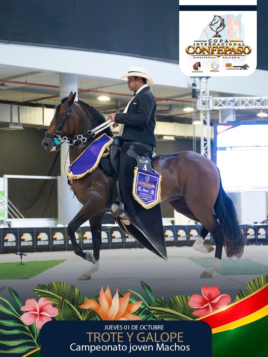 Foto de Tyfonico de Montecarlo, Semental, Criollo Colombiano, Trote y Galope (P1)