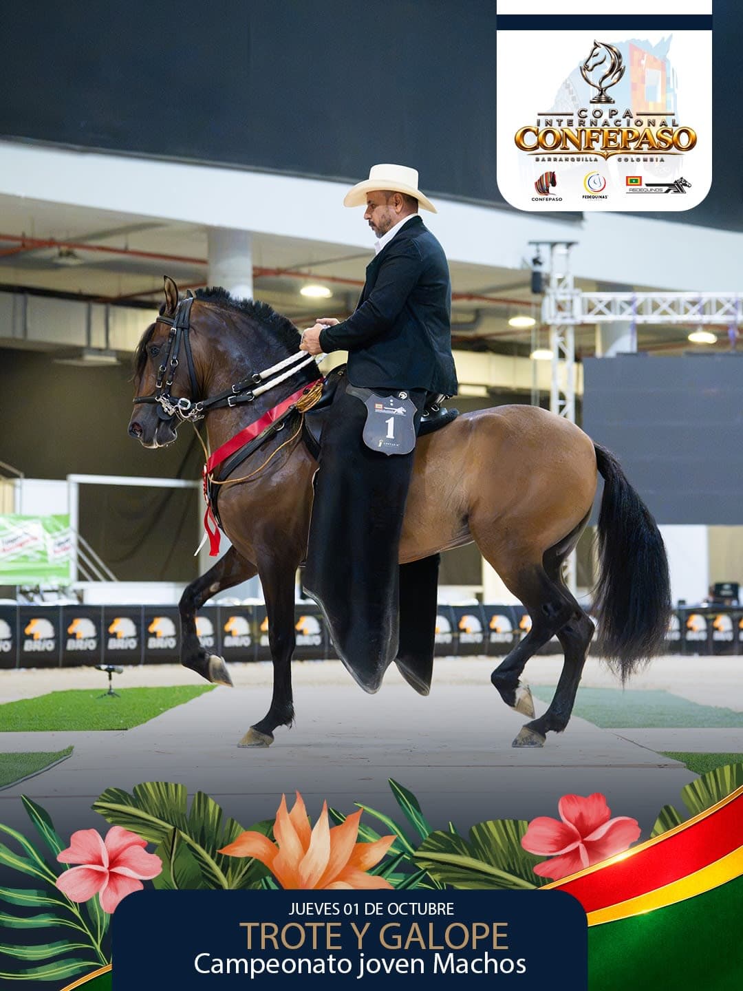 Foto de Amor Pleno de la Trinidad, Semental, Criollo Colombiano, Trote y Galope (P1)
