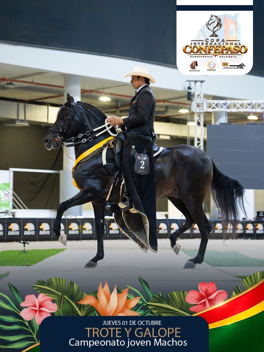 Foto de Ares de San Antonio, Semental, Criollo Colombiano, Trote y Galope (P1)