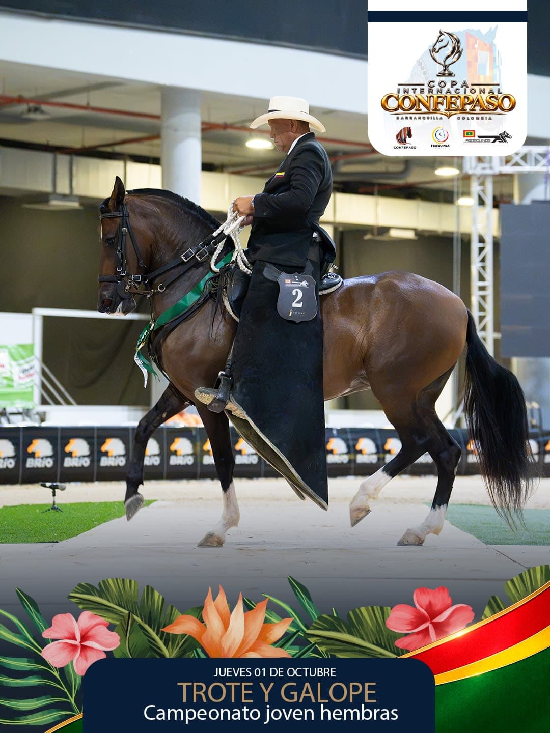 Foto de Travesura de la Realeza, Yegua, Criollo Colombiano, Trote y Galope (P1)