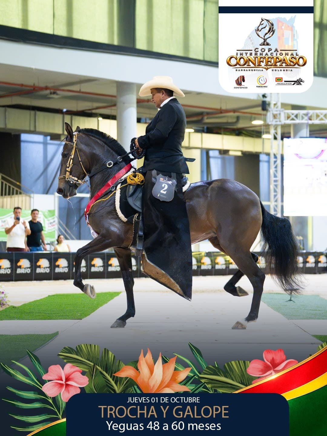 Foto de Rumbera de la Risotada, Yegua, Criollo Colombiano, Trocha y Galope (P2)
