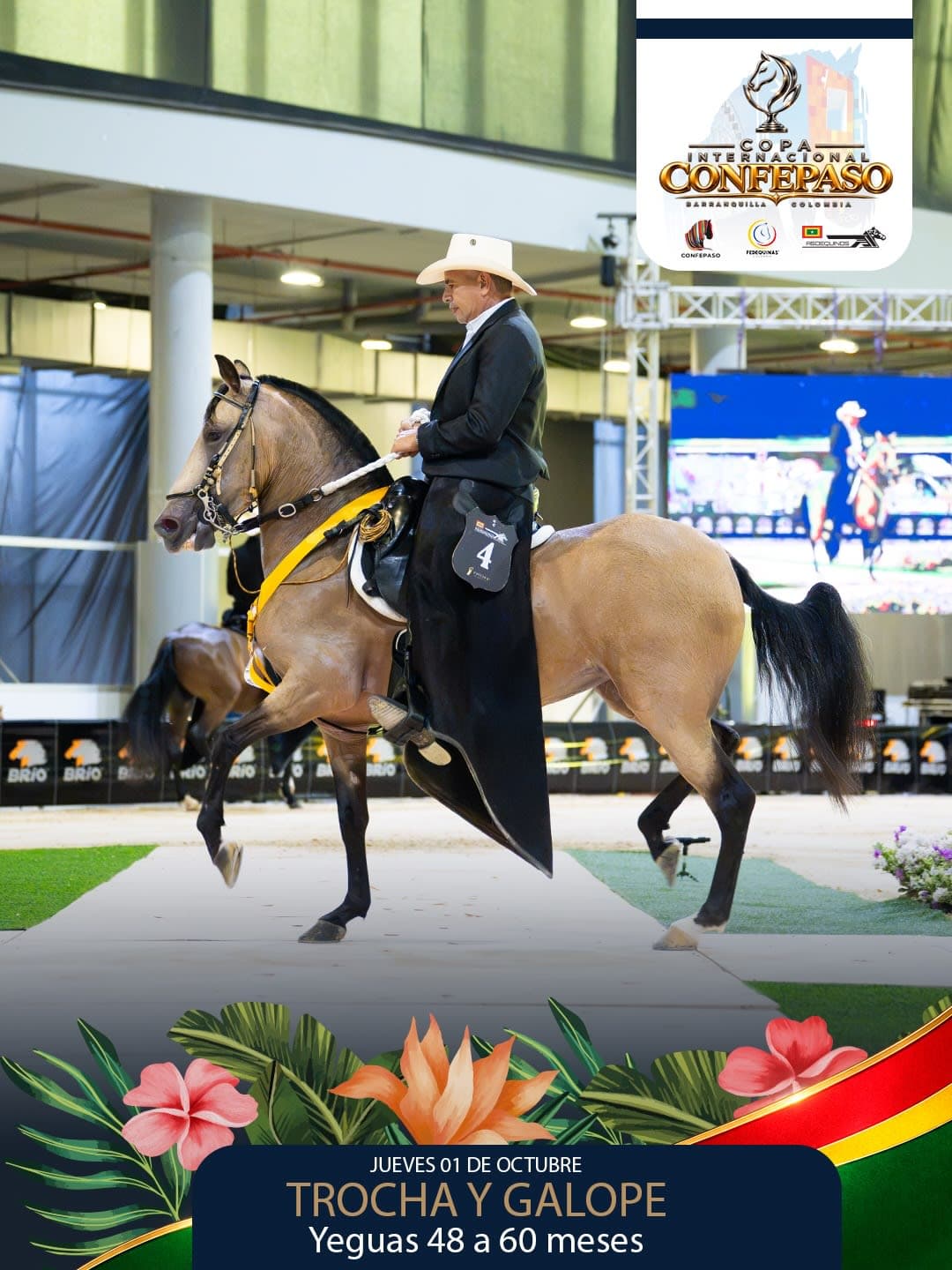 Foto de Promesa de Don Matias, Yegua, Criollo Colombiano, Trocha y Galope (P2)
