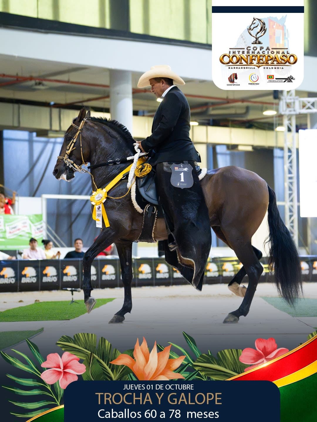 Foto de Mago de la Bermudas, Semental, Criollo Colombiano, Trocha y Galope (P2)