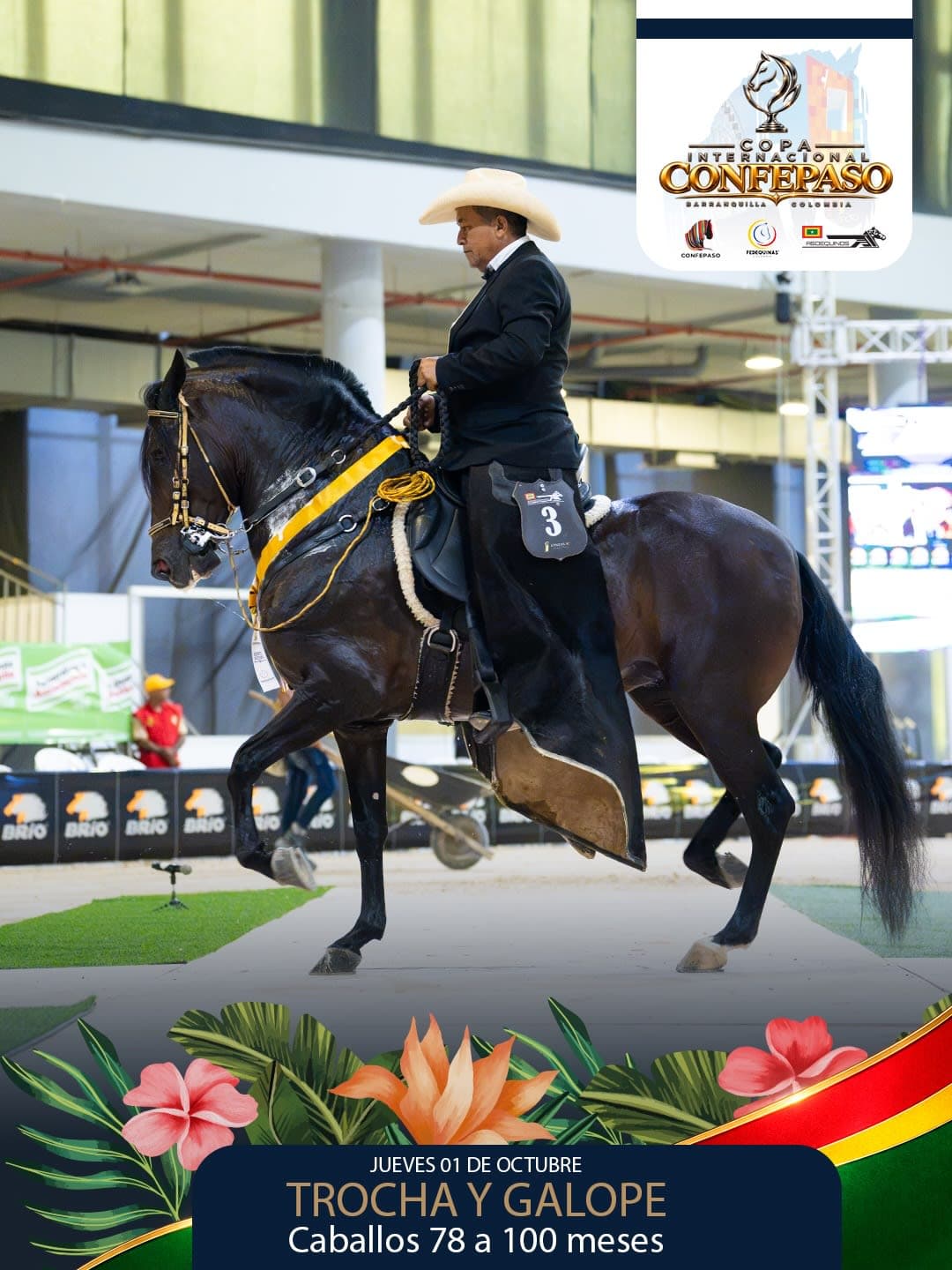Foto de Maranello de San Pablo, Semental, Criollo Colombiano, Trocha y Galope (P2)