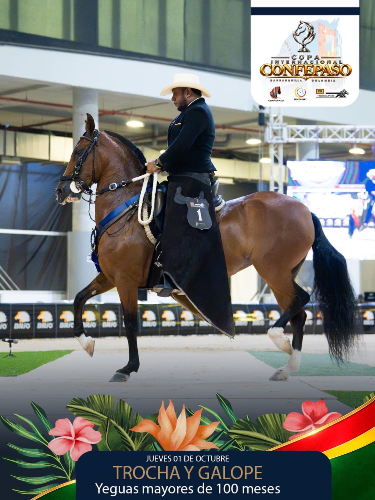 Foto de Valenciana de la Gloria, Yegua, Criollo Colombiano, Trocha y Galope (P2)
